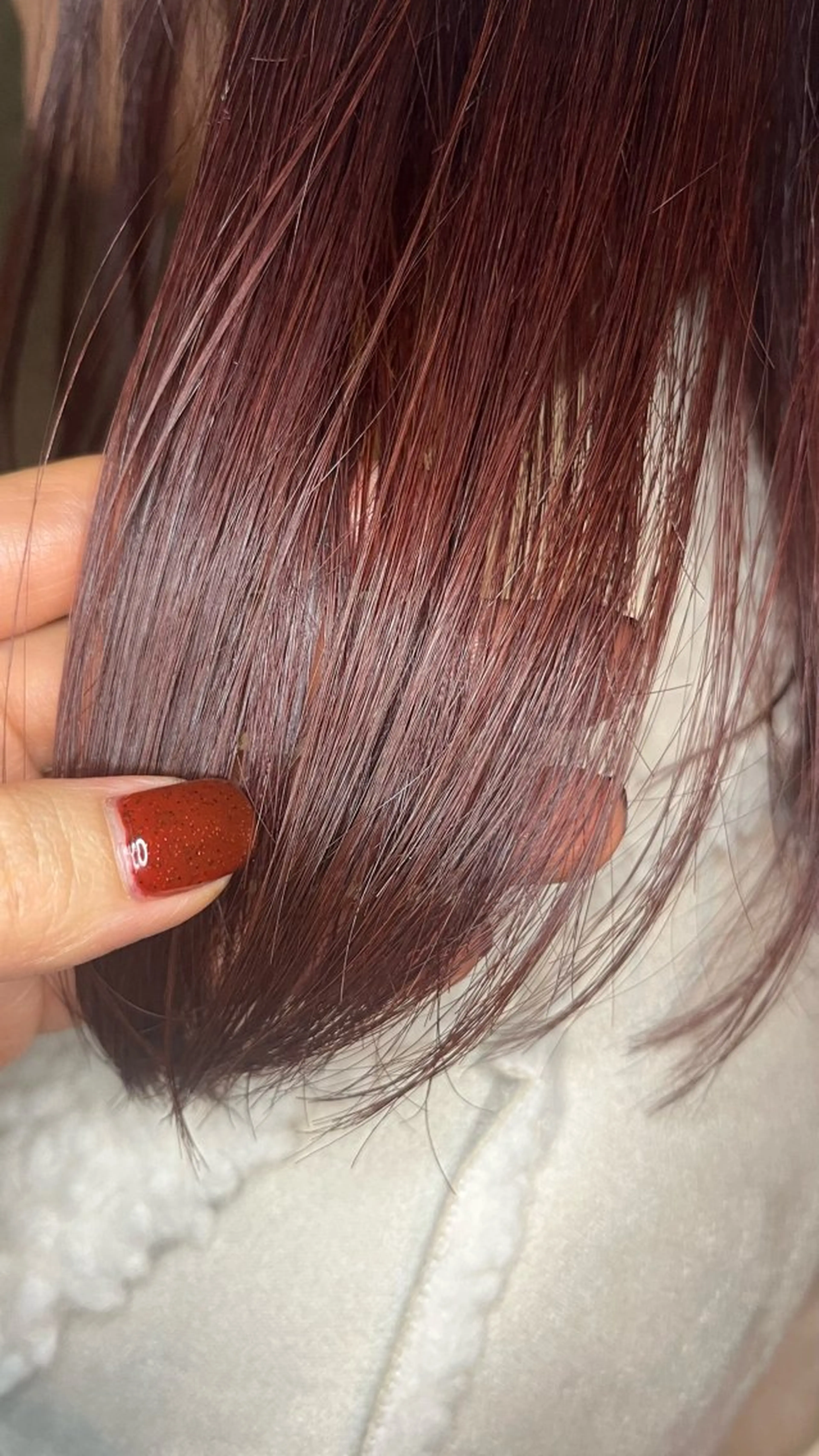 カラー レッドカラー CITY.所属・‧₊˚ .⋆ ˖ Sayaka☘️✧*のヘアスタイル