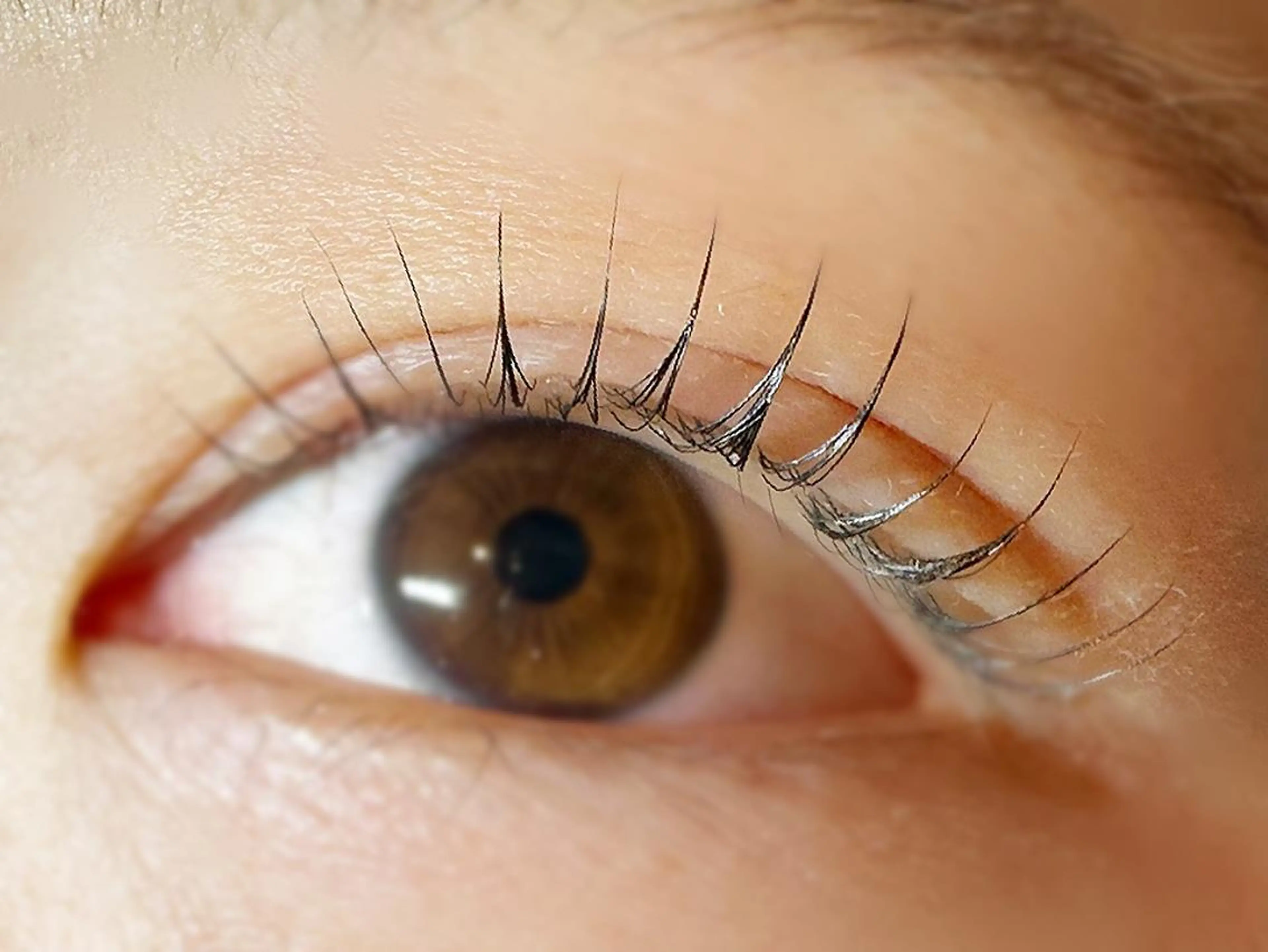 マツエク・マツパ komatsu eyelash恵比寿のマツエク・マツパデザイン