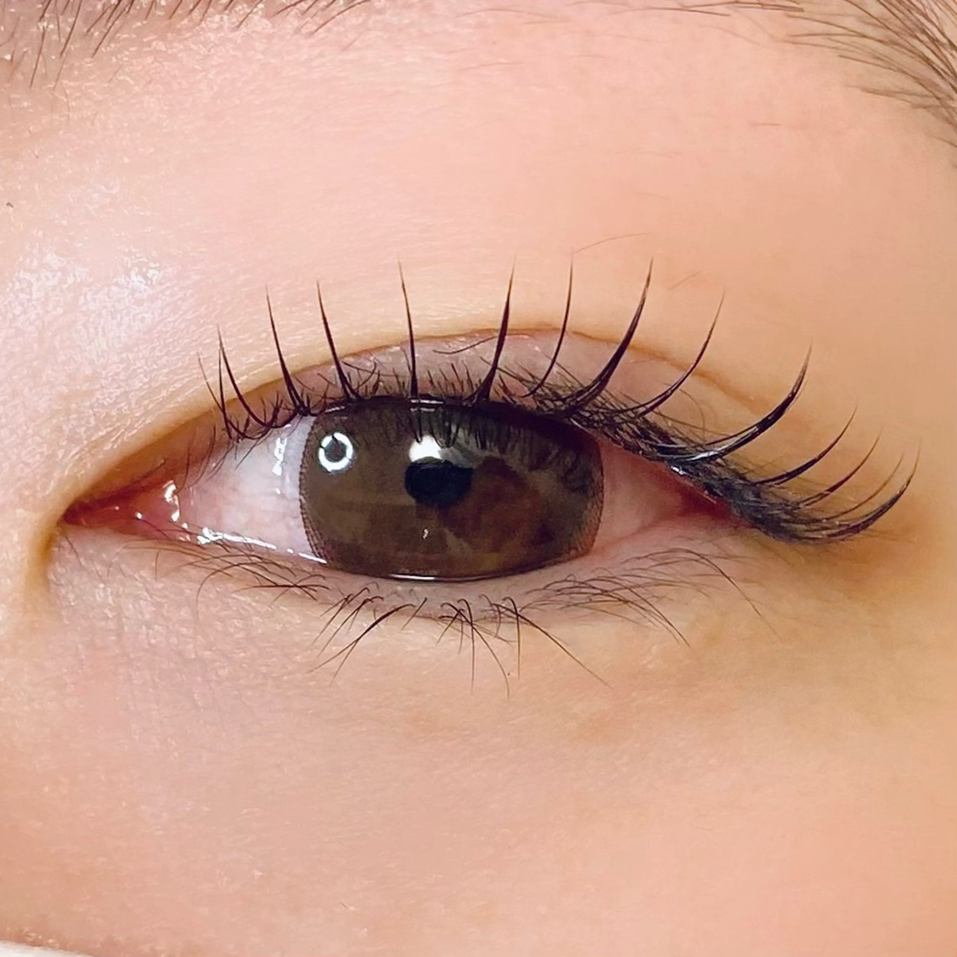 🍀フラットラッシュ100本までオフあり可⭕️初回のみオフ無料の写真