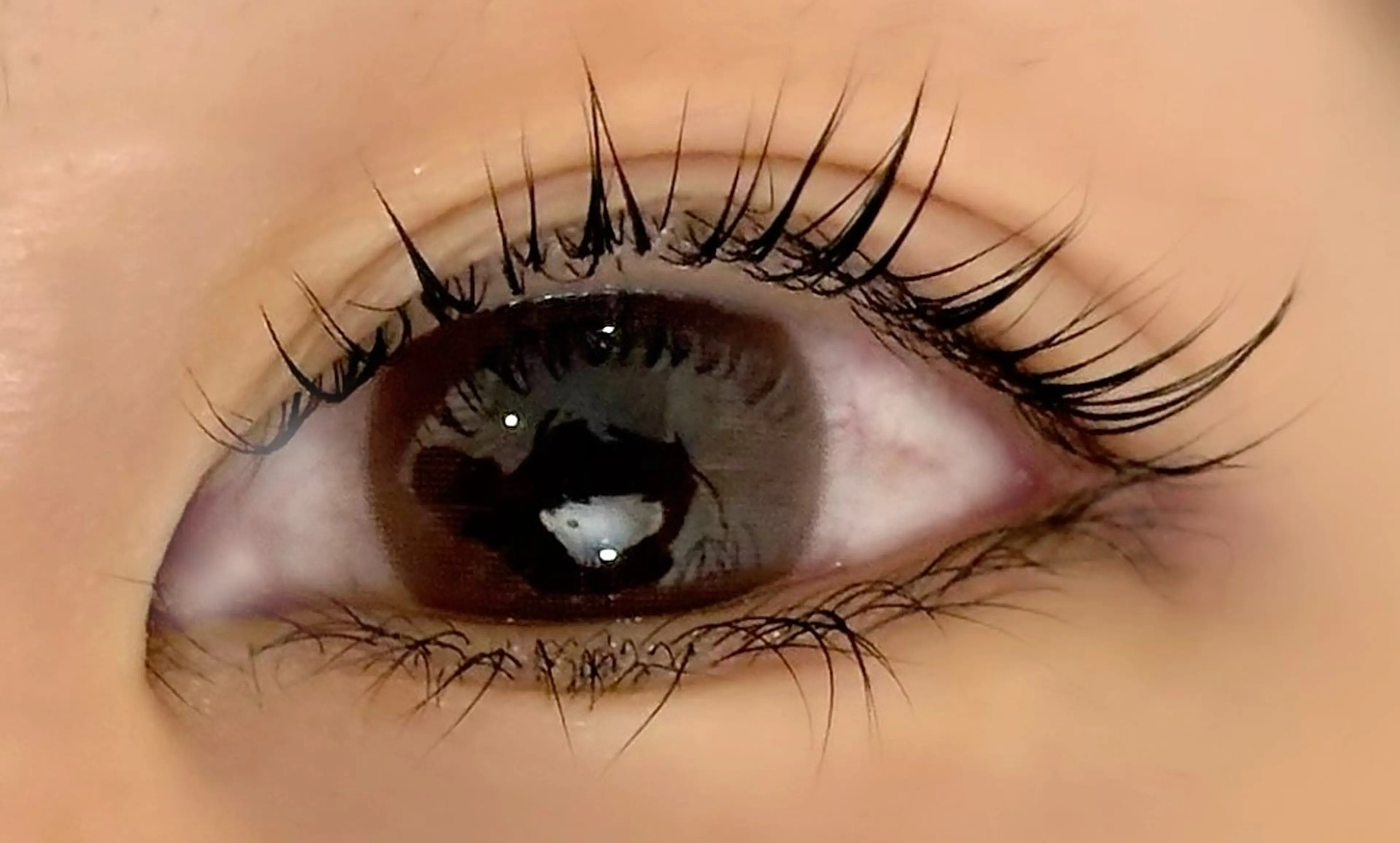 マツエク・マツパ tres AYANEのマツエク・マツパデザイン