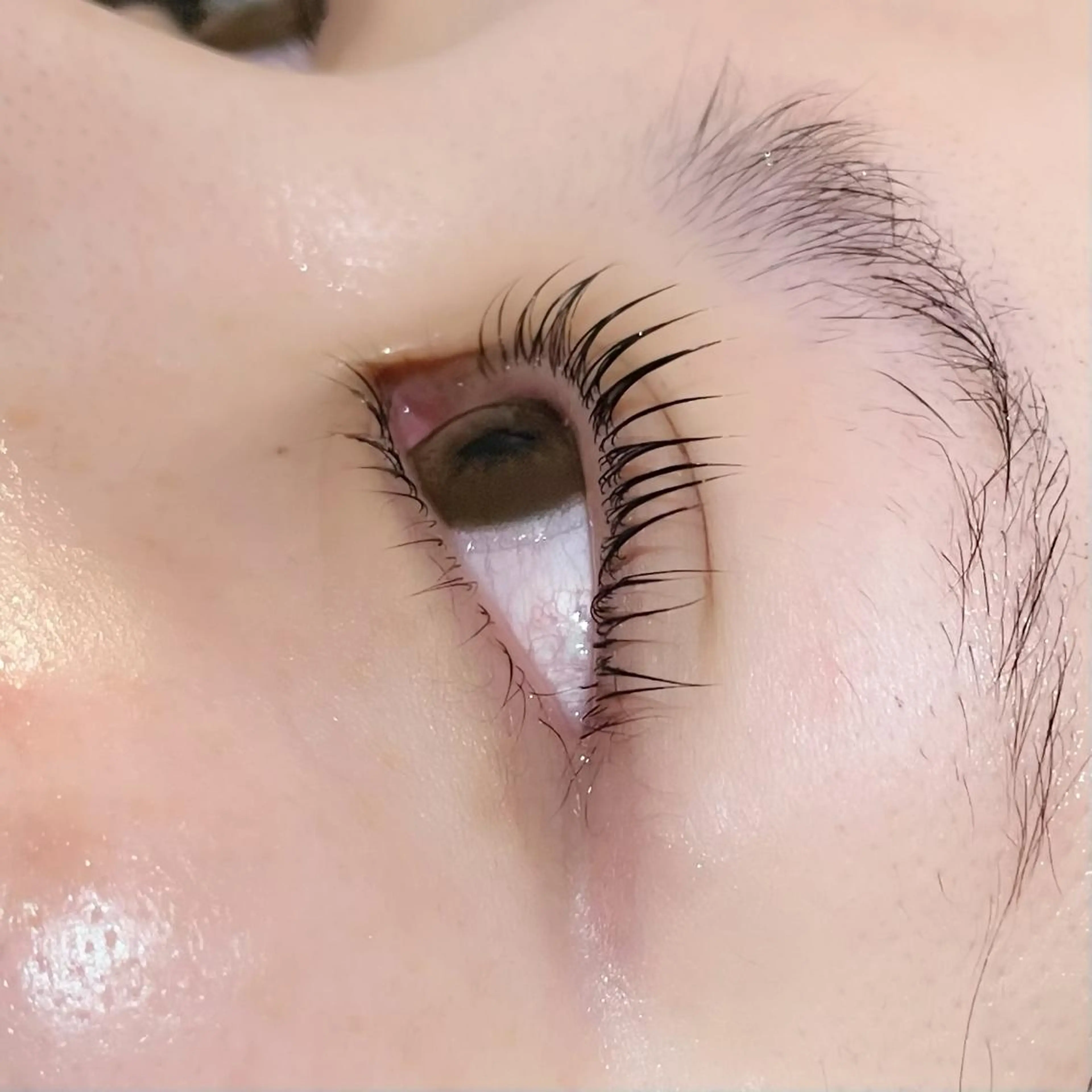 マツエク・マツパ peep八田店 マホ🐾のマツエク・マツパデザイン