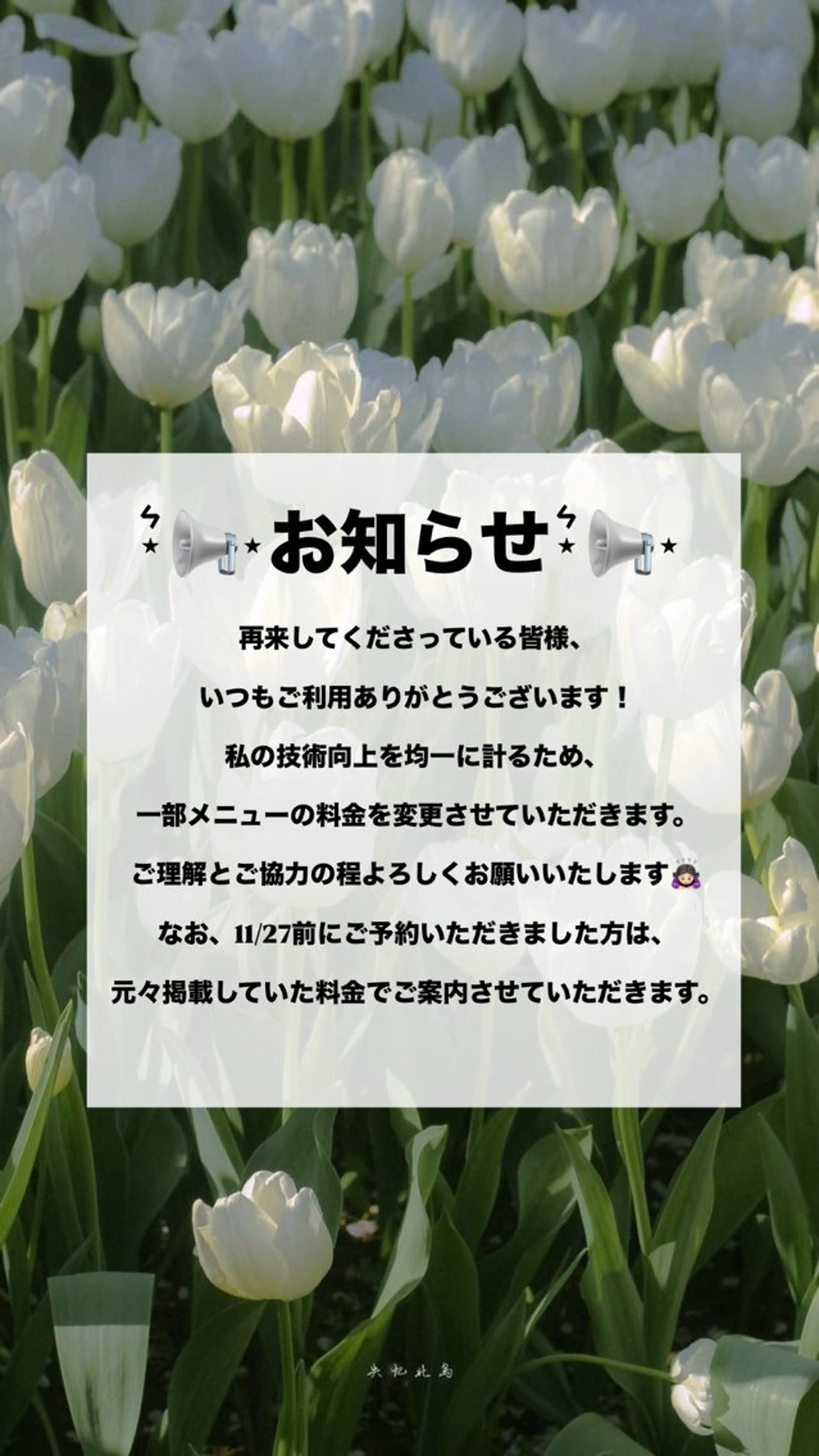 🫧‎🤍oto /ゆきの🤍🫧のヘアスタイル