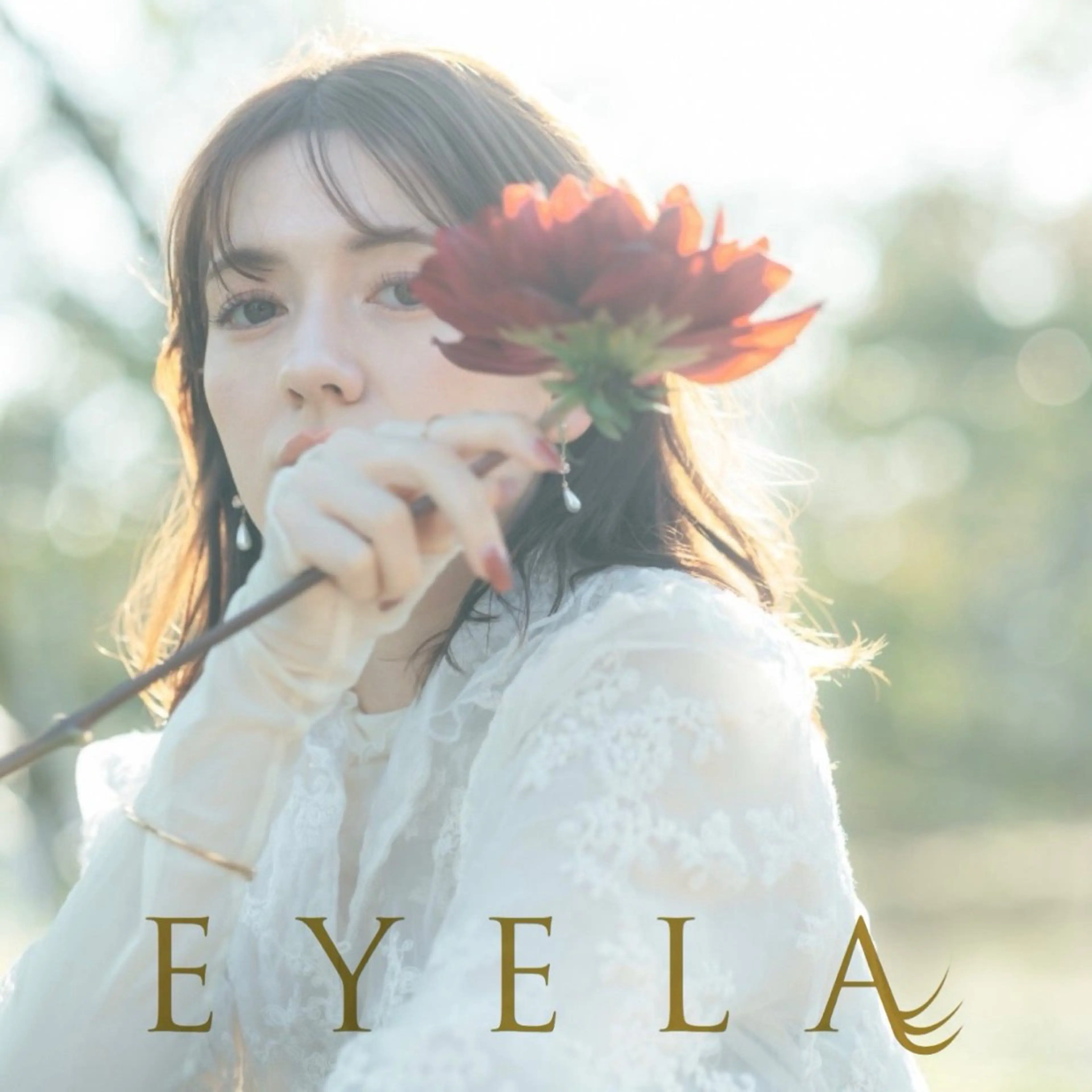 マツエク・マツパ 彩楓 /EYELA🪄ྀིのマツエク・マツパデザイン