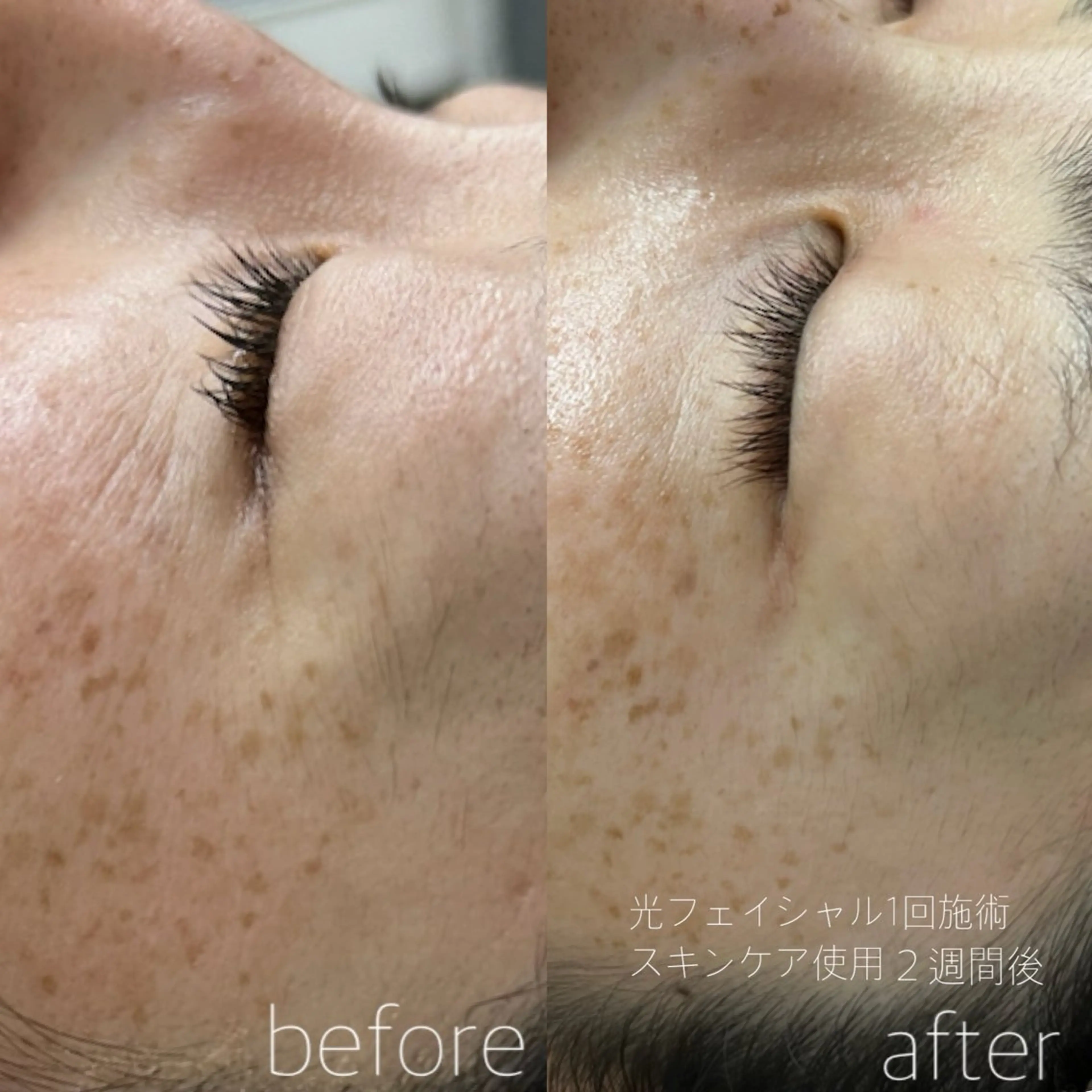 桜井 智子のその他イメージ