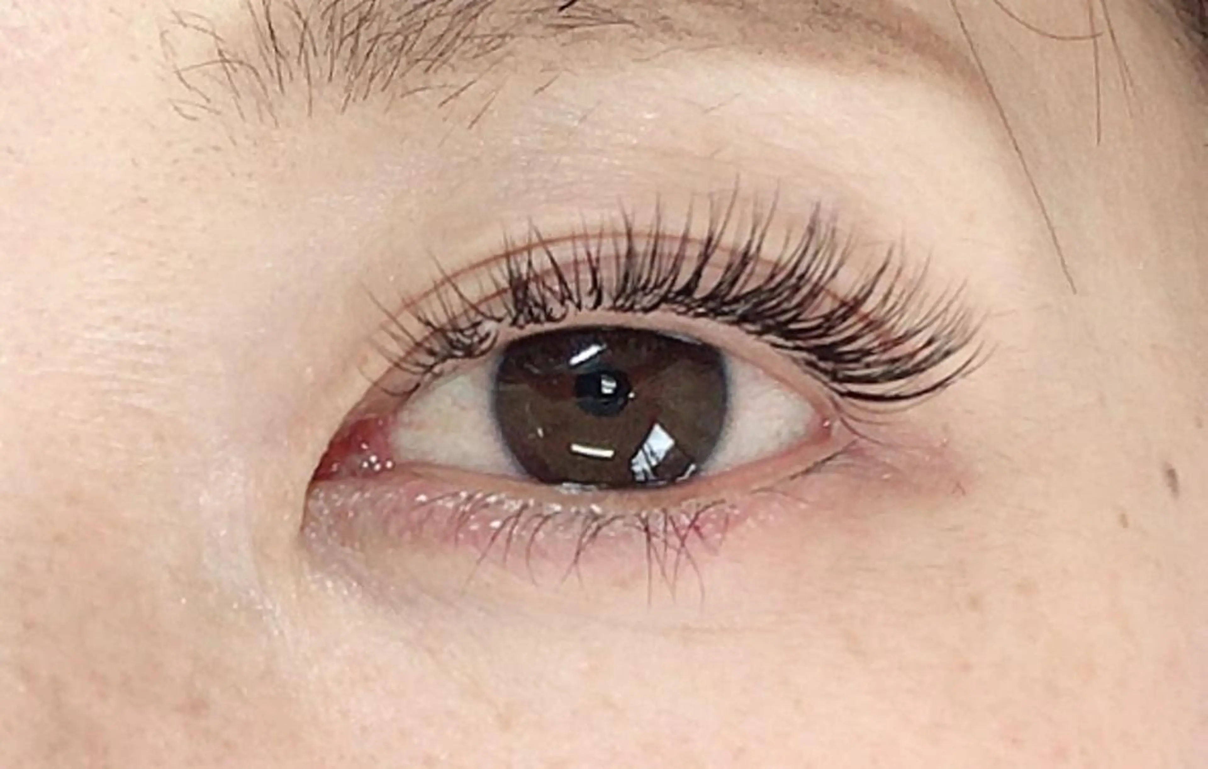 60分付け放題の写真