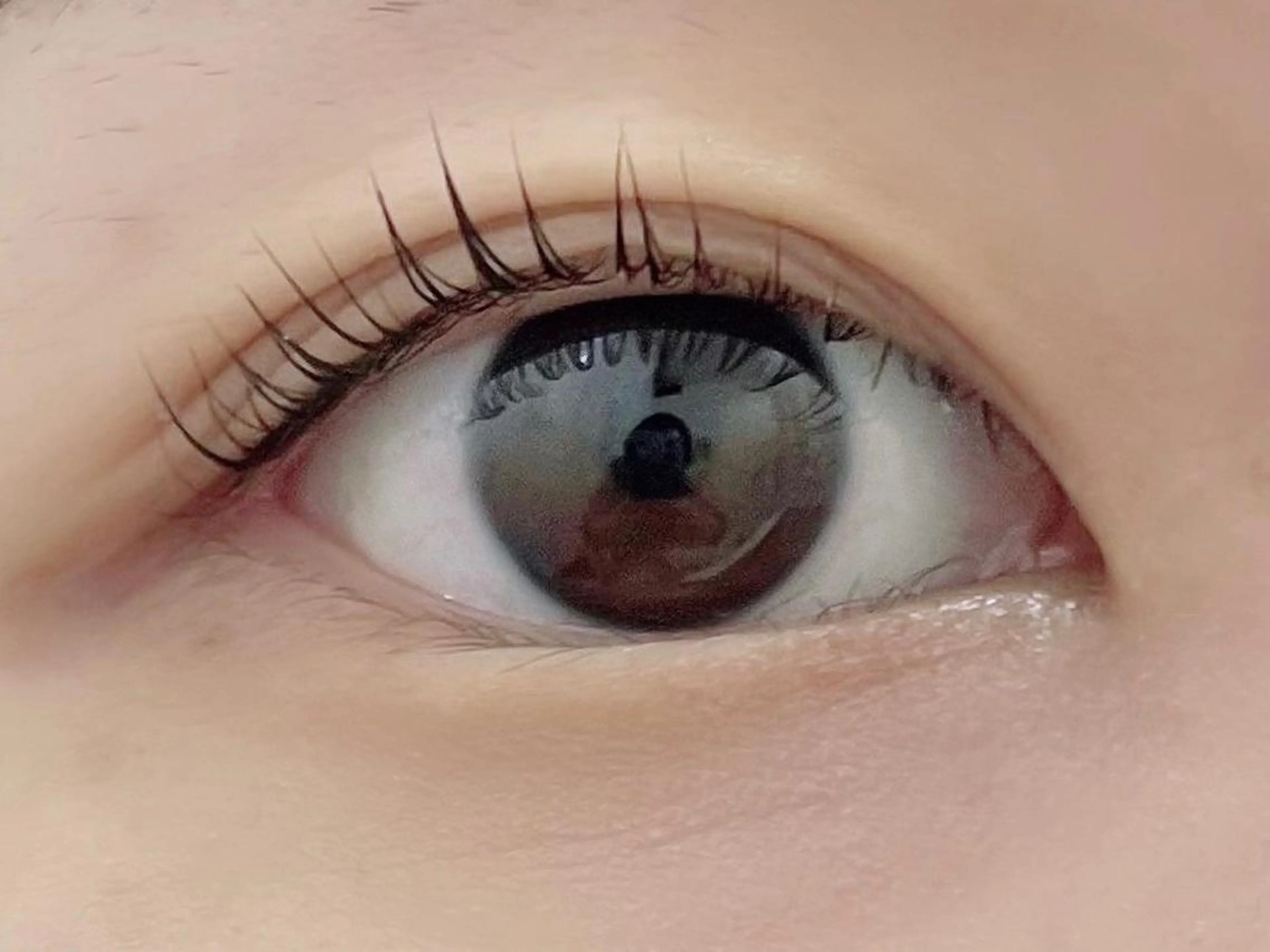 マツエク・マツパ パリジェンヌラッシュリフト 🎀浦嶋 暖乃🎀の眉毛・アイブロウイメージ