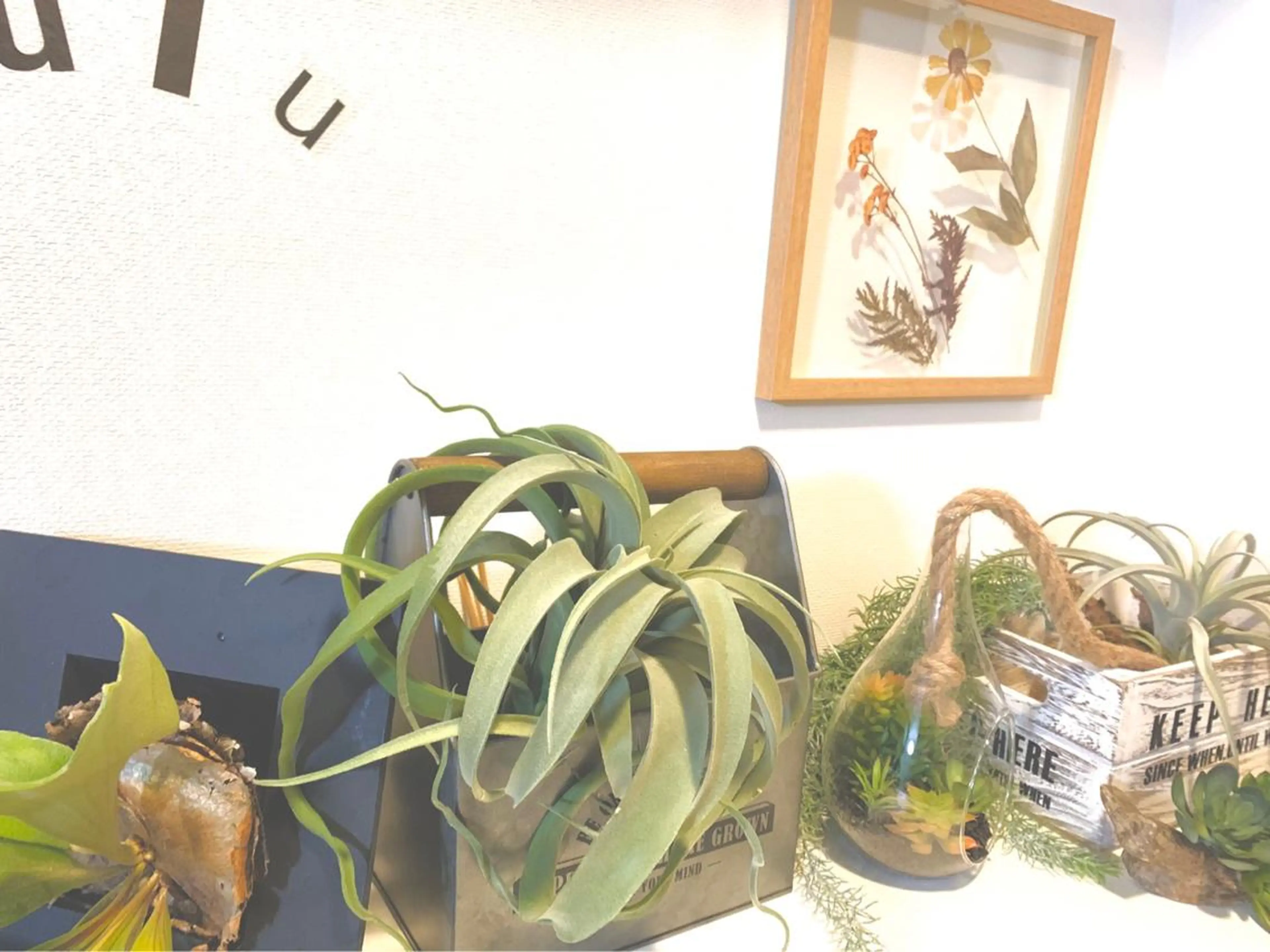 eyelash〜uLu〜金沢八景所属・eyelash uLuのマツエク・マツパデザイン