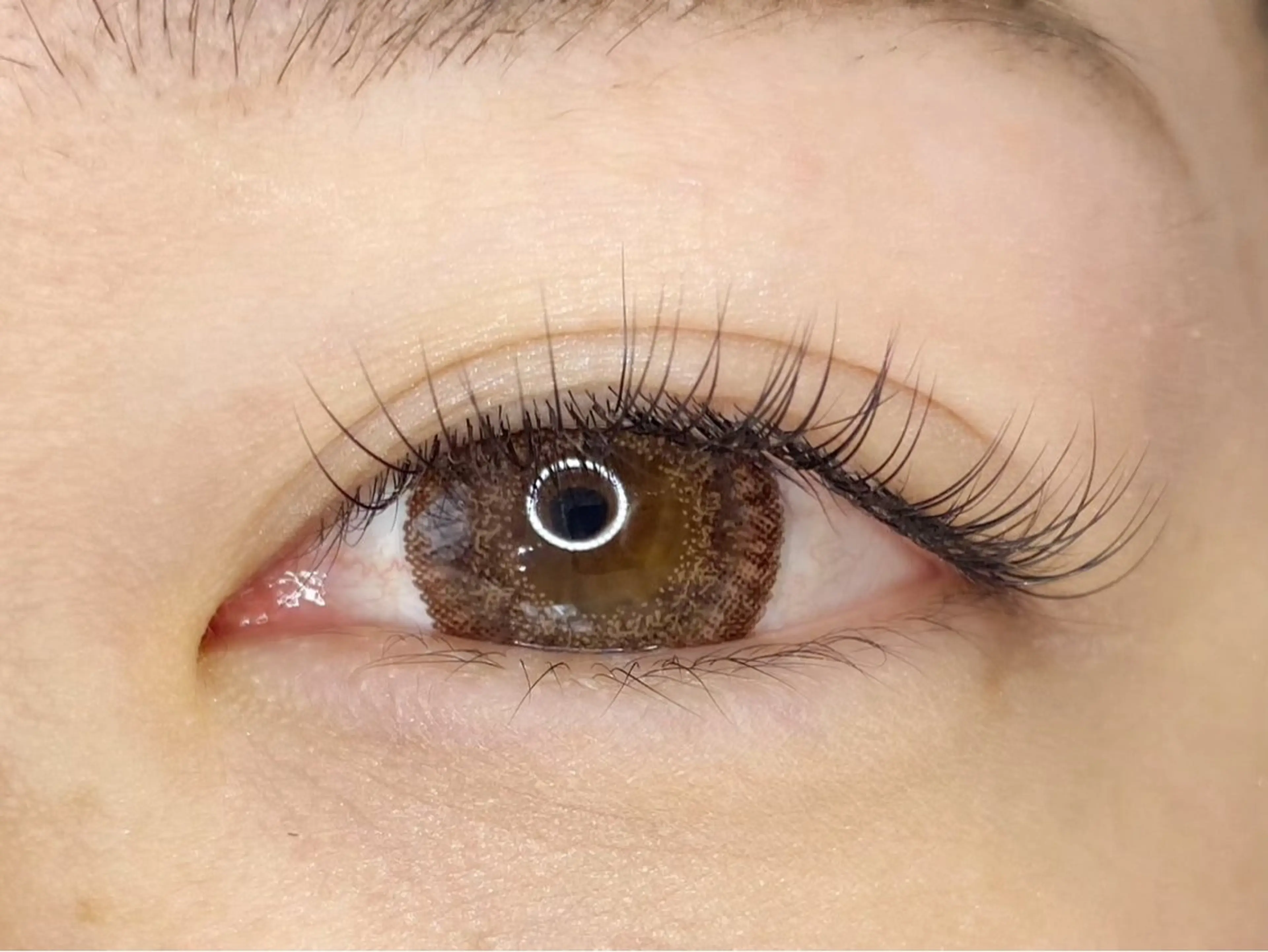 シングルラッシュ80本 (2月よりご案内可能です)の写真