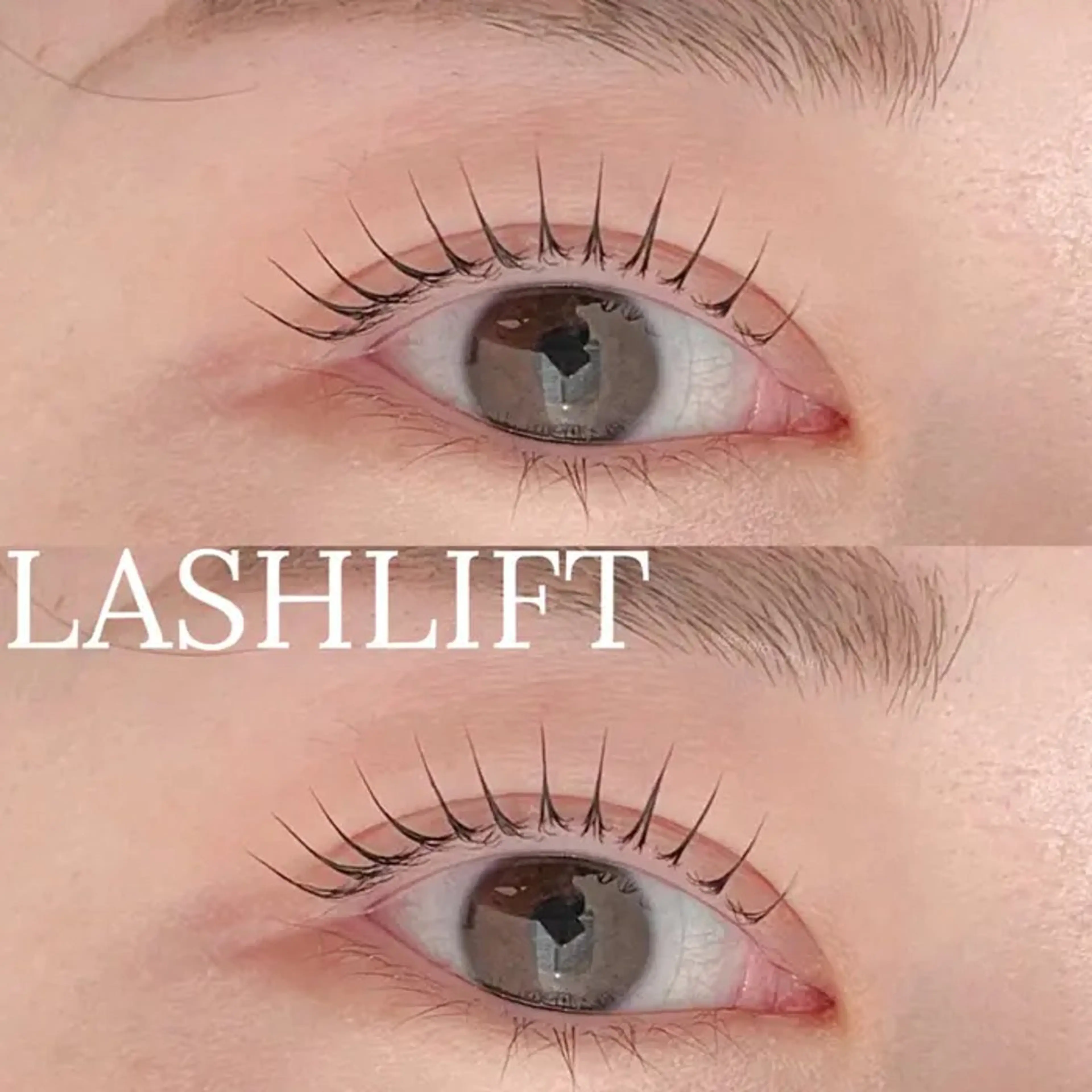 🎀似合わせまつげパーマ🎀ﾄﾘｰﾄﾒﾝﾄコーティング付きの写真