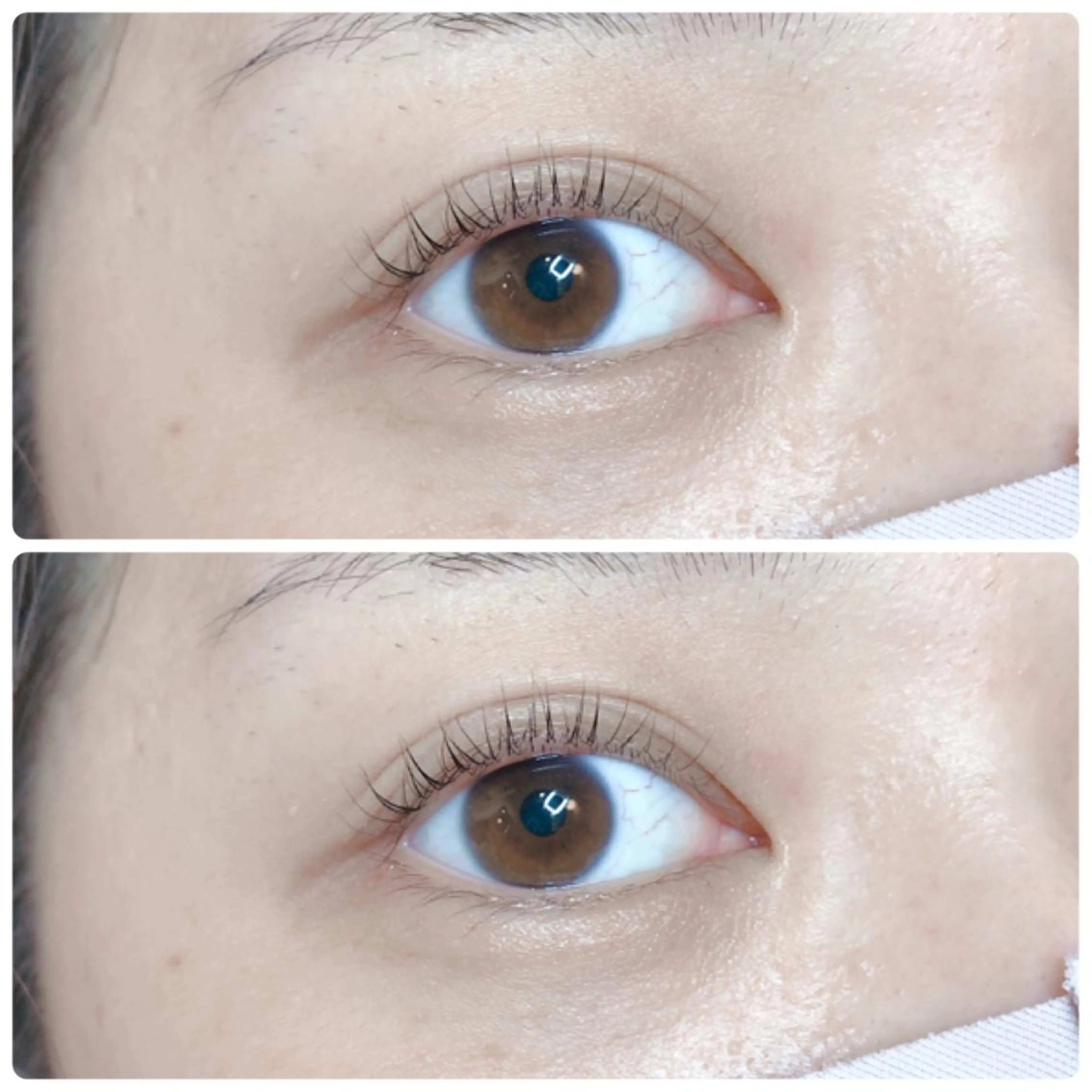 マツエク・マツパ パリジェンヌラッシュリフト 渋谷 志保の眉毛・アイブロウイメージ