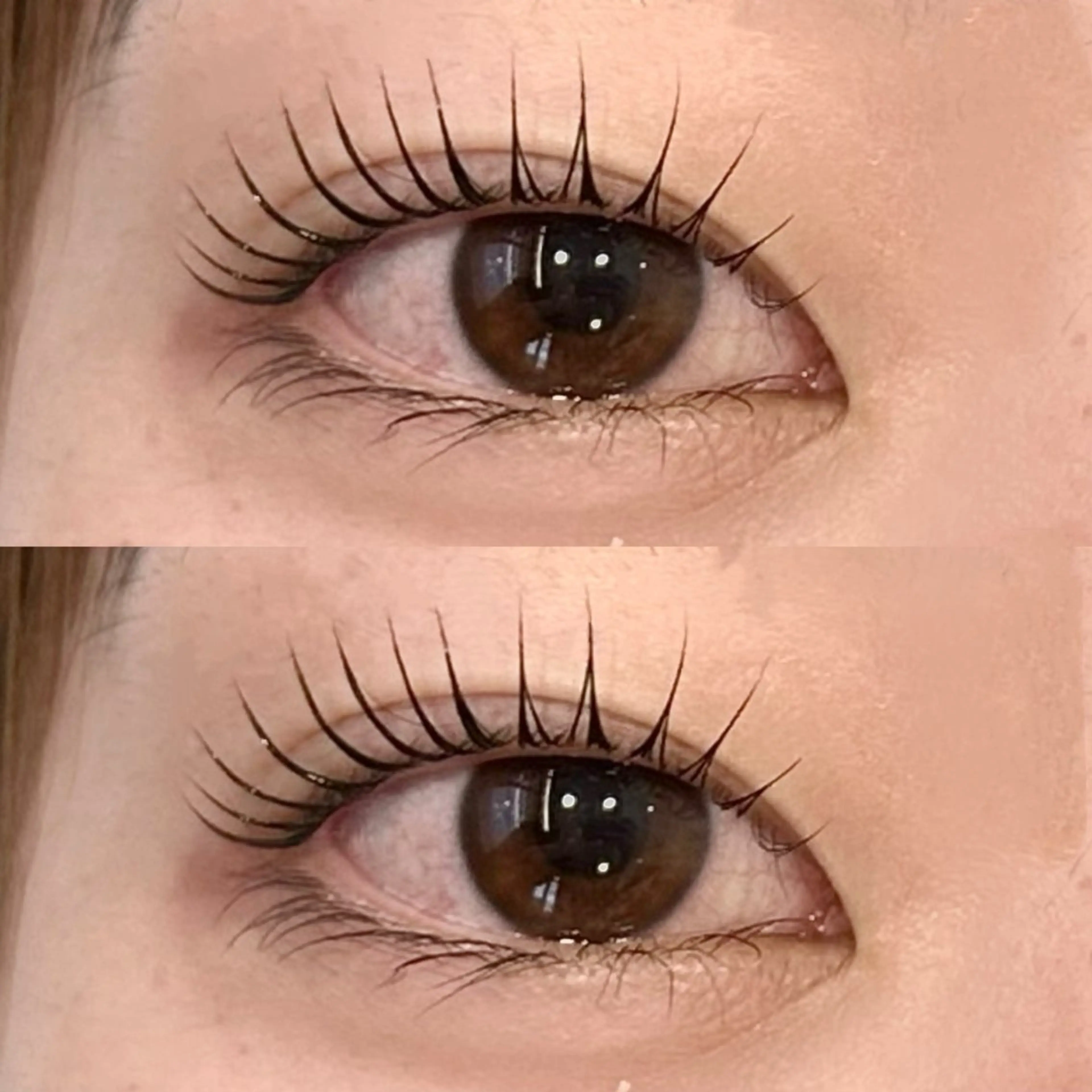 【土日祝限定🍀】まつげパーマ or パリジェンヌラッシュリフト（上のみ）の写真