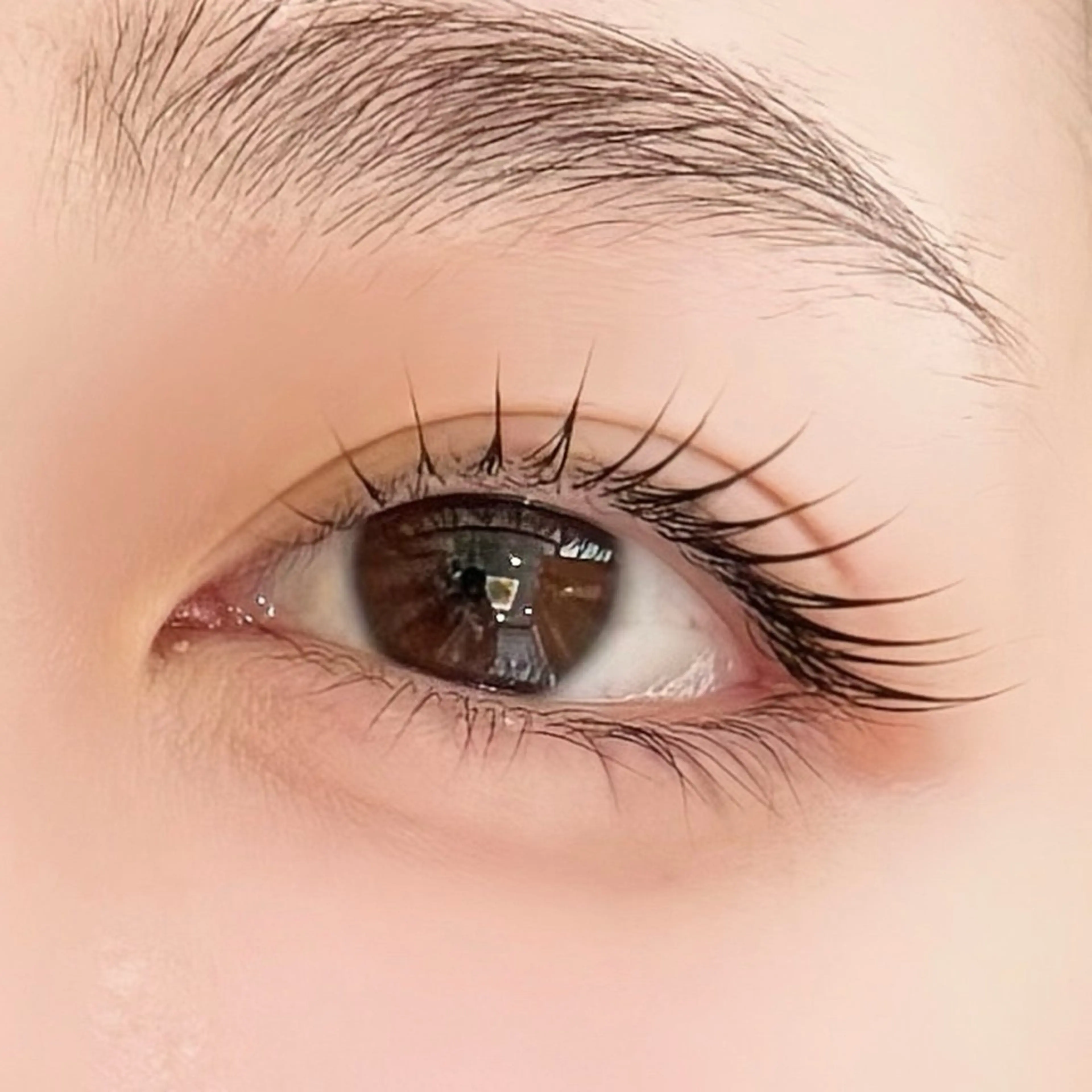 【タレ目流し目風♡】メーテルロッド/ラッシュリフト❦ (美容コーティング付)💛の写真