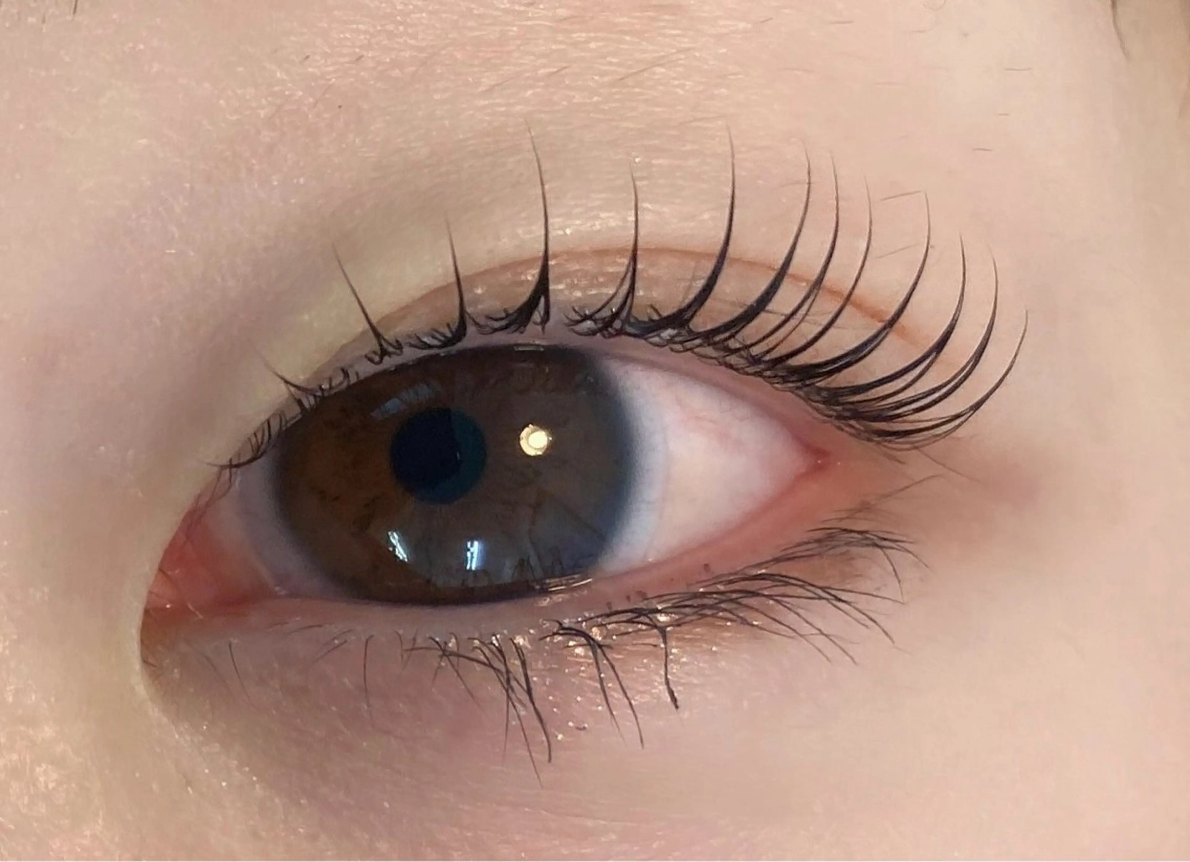 ミニモ限定！ラッシュリフトの写真