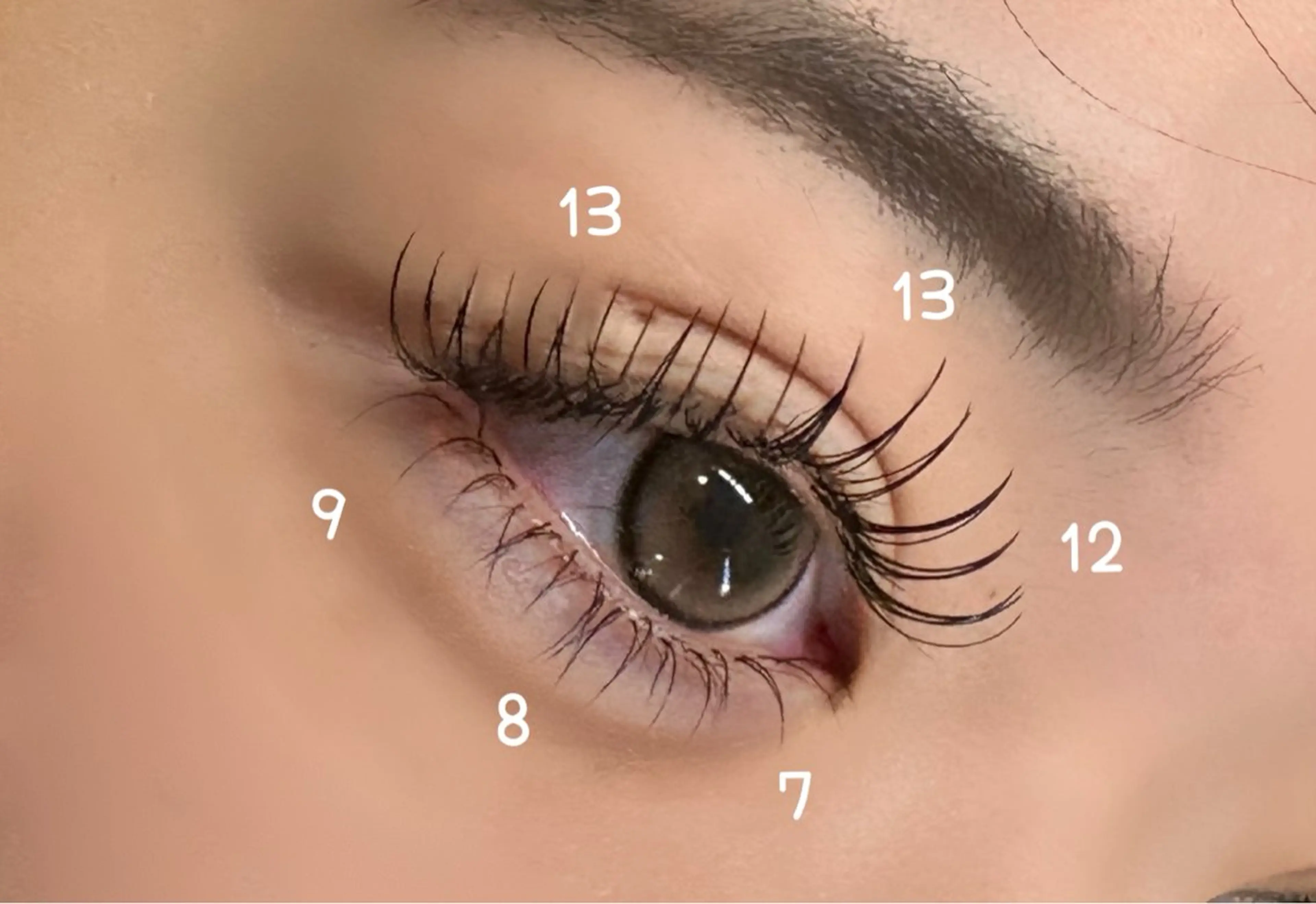 マツエク・マツパ guleum所属・guleum🌸 あいかのマツエク・マツパデザイン