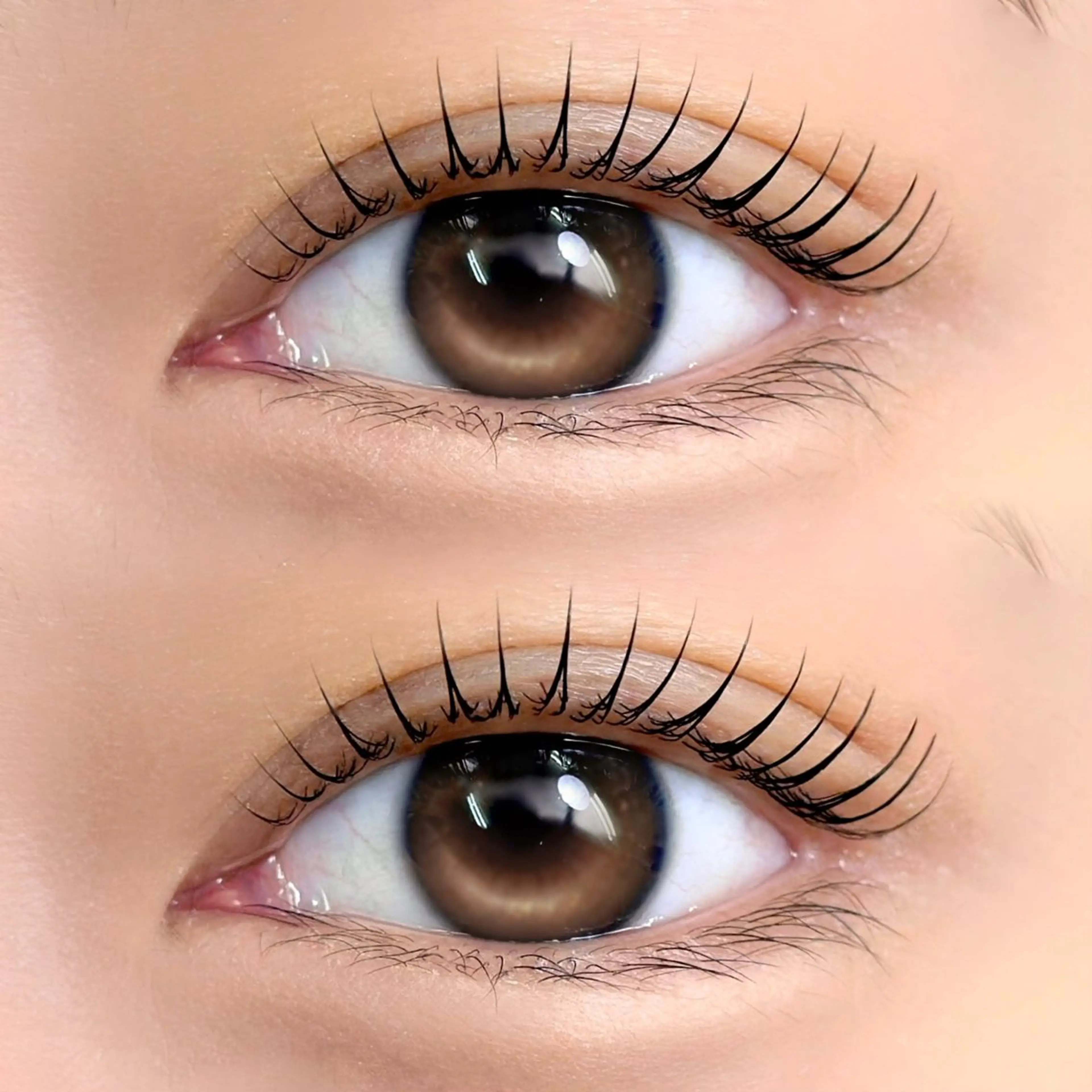 マツエク・マツパ マツパ MOE 表参道ｱｲﾘｽﾄのマツエク・マツパデザイン