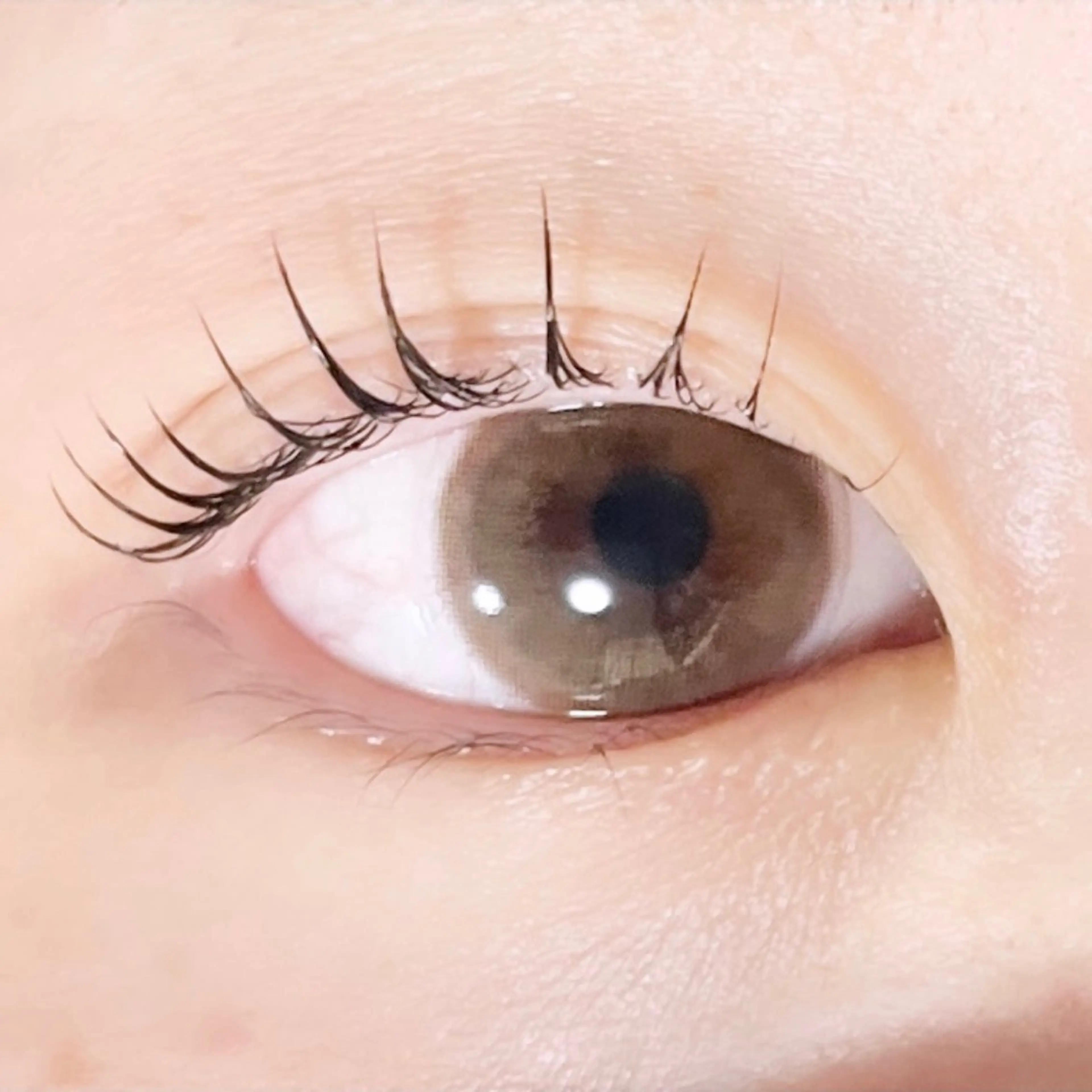 マツエク・マツパ TAKEO🖤 マリーテレジア藤が丘のマツエク・マツパデザイン