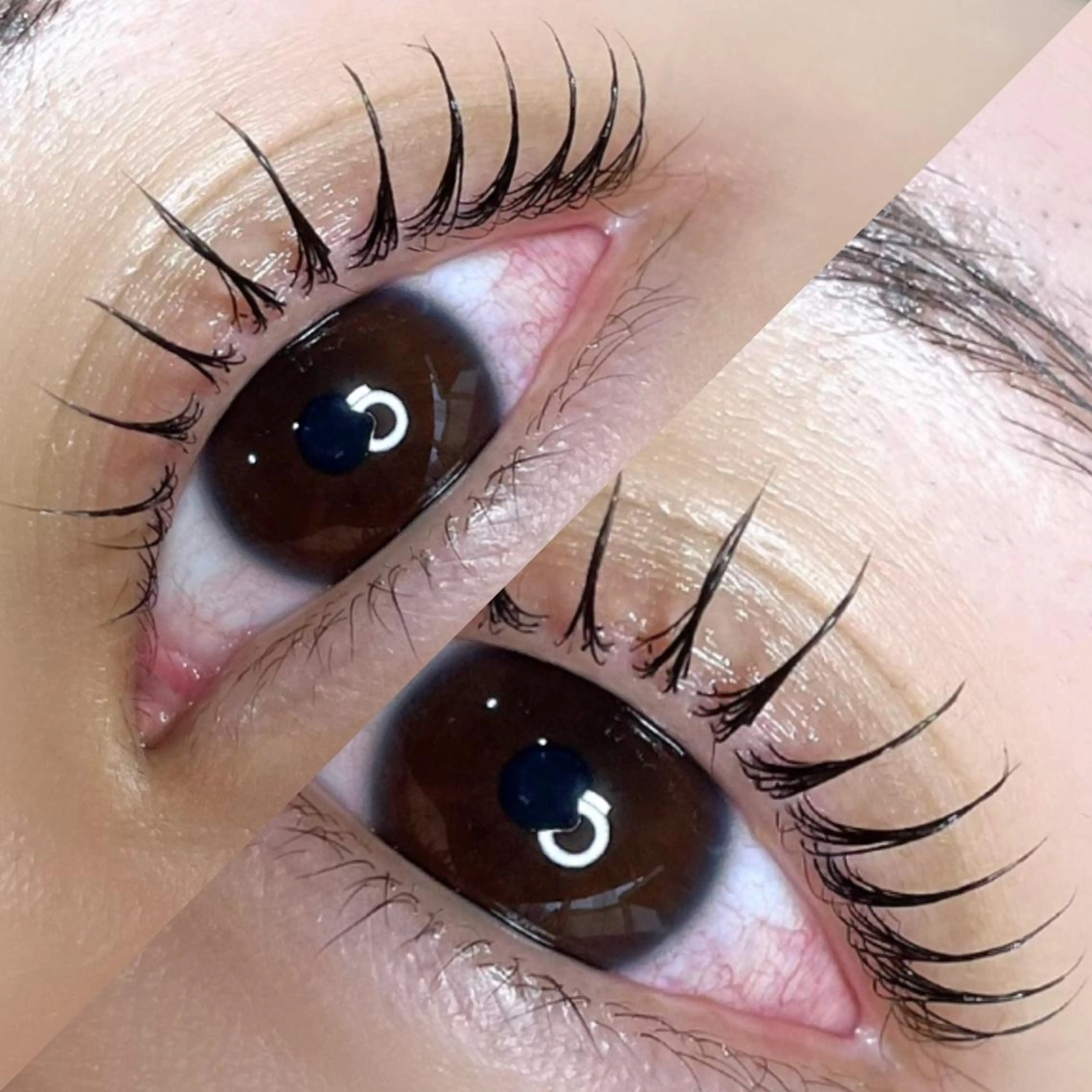 【🎟ごほうびプライス🧸】ちゅるん×束感ラッシュリフト🪡※オフなしの写真