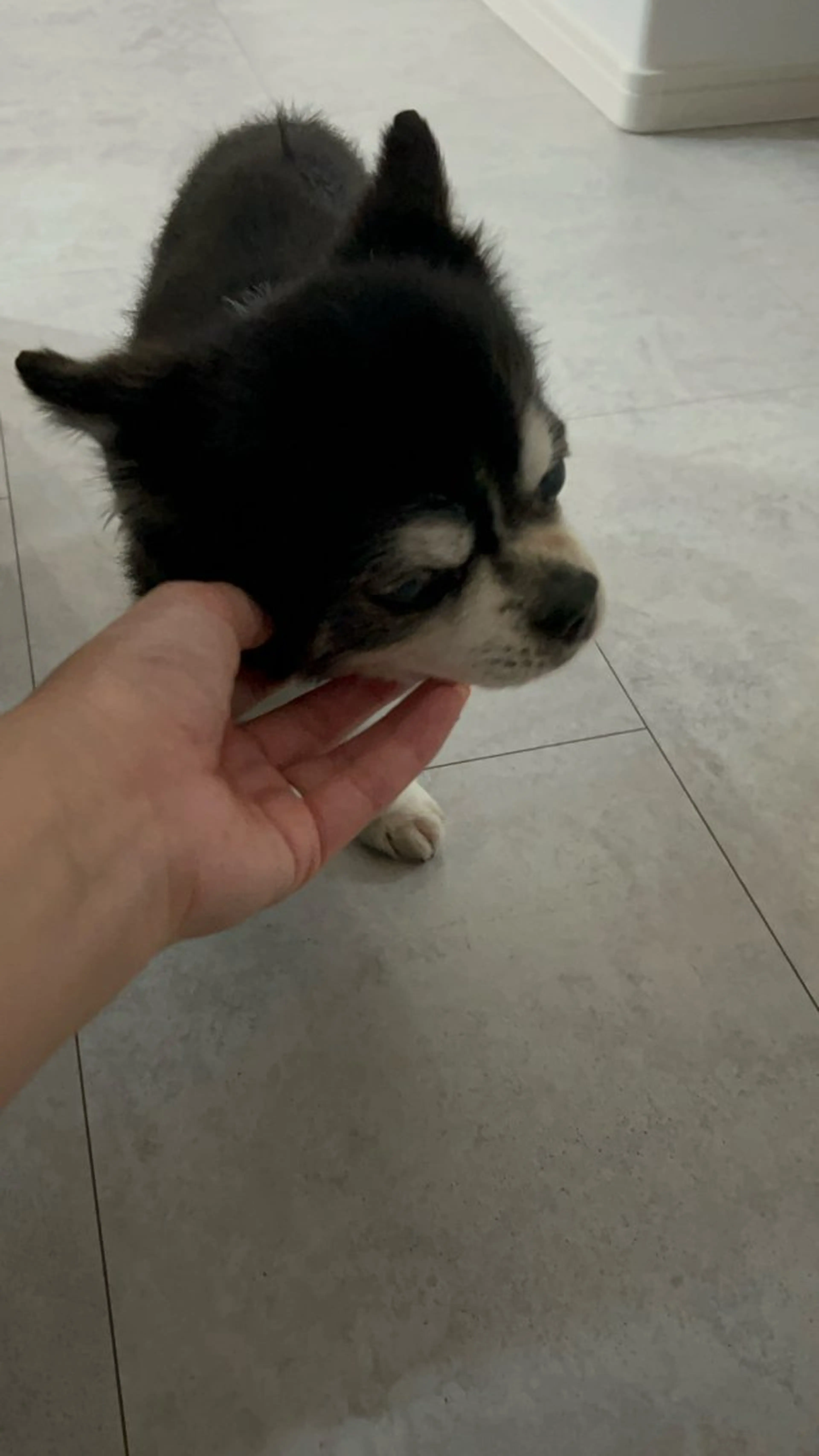 ネイル ジェルネイル専門店 一花-ICHIKA-のネイルデザイン