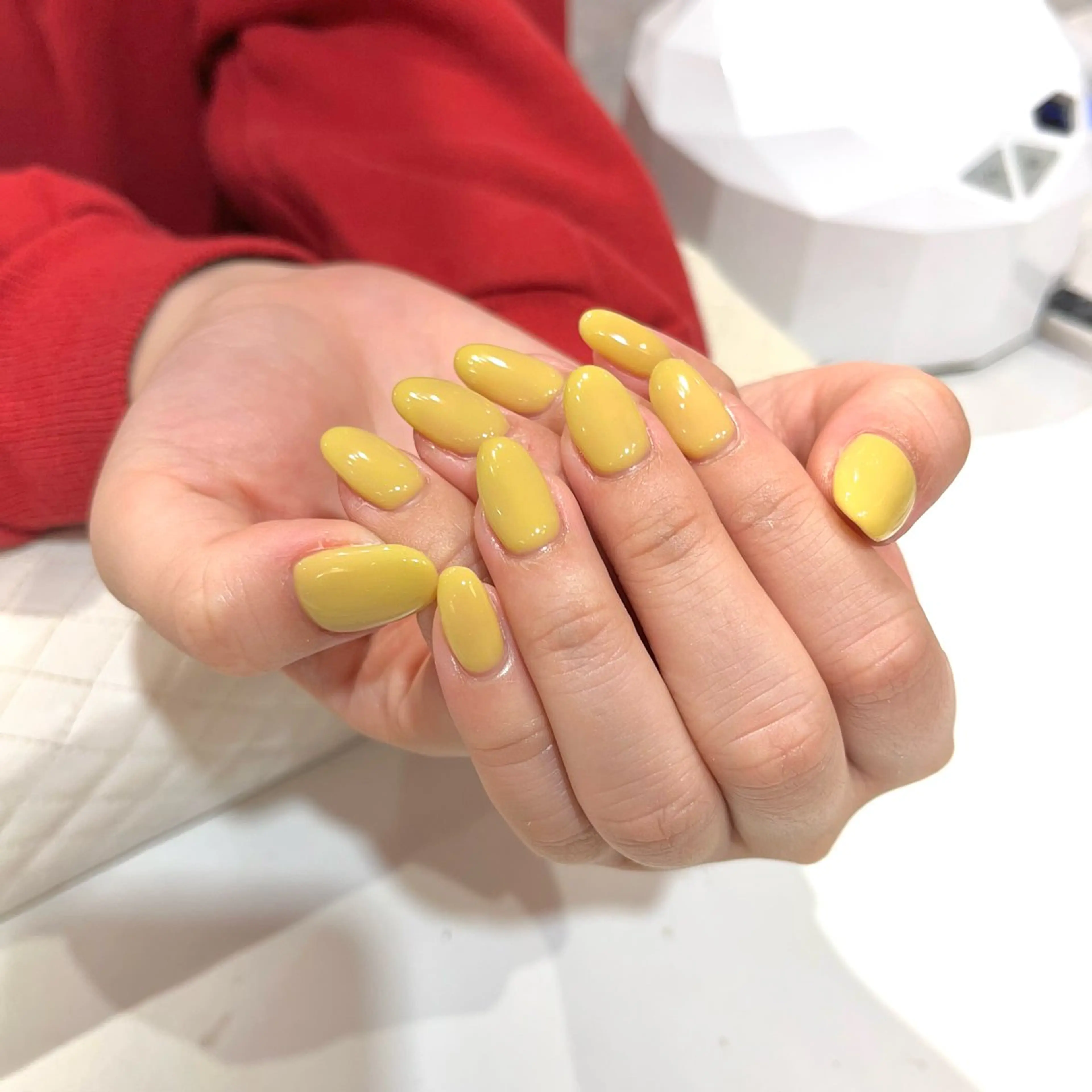 ネイル ワンカラーネイル 黄色 SHELL NAIL 🐰ｎｏａ🐶のネイルデザイン