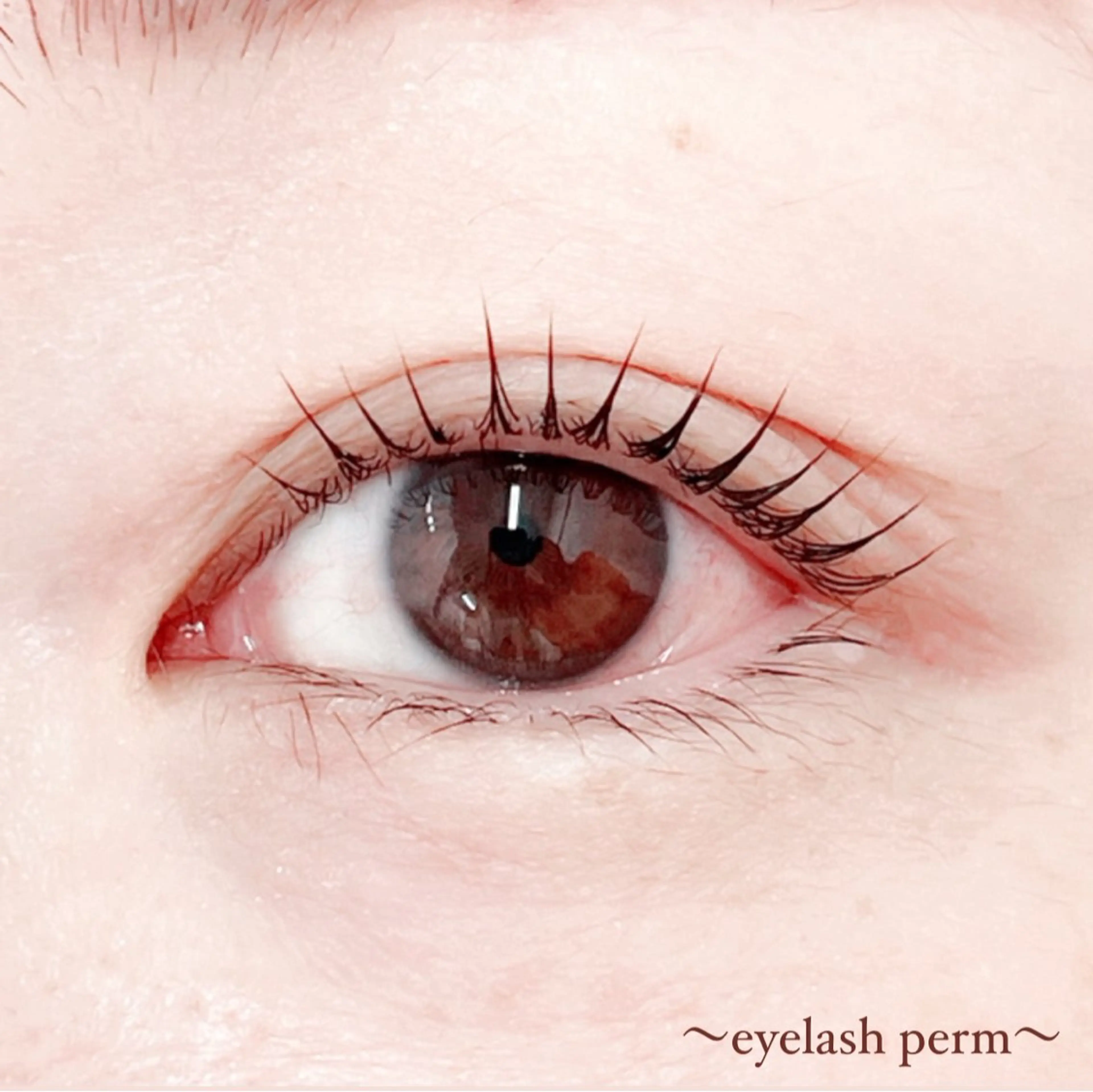 マツエク・マツパ 田村 莉子のマツエク・マツパデザイン