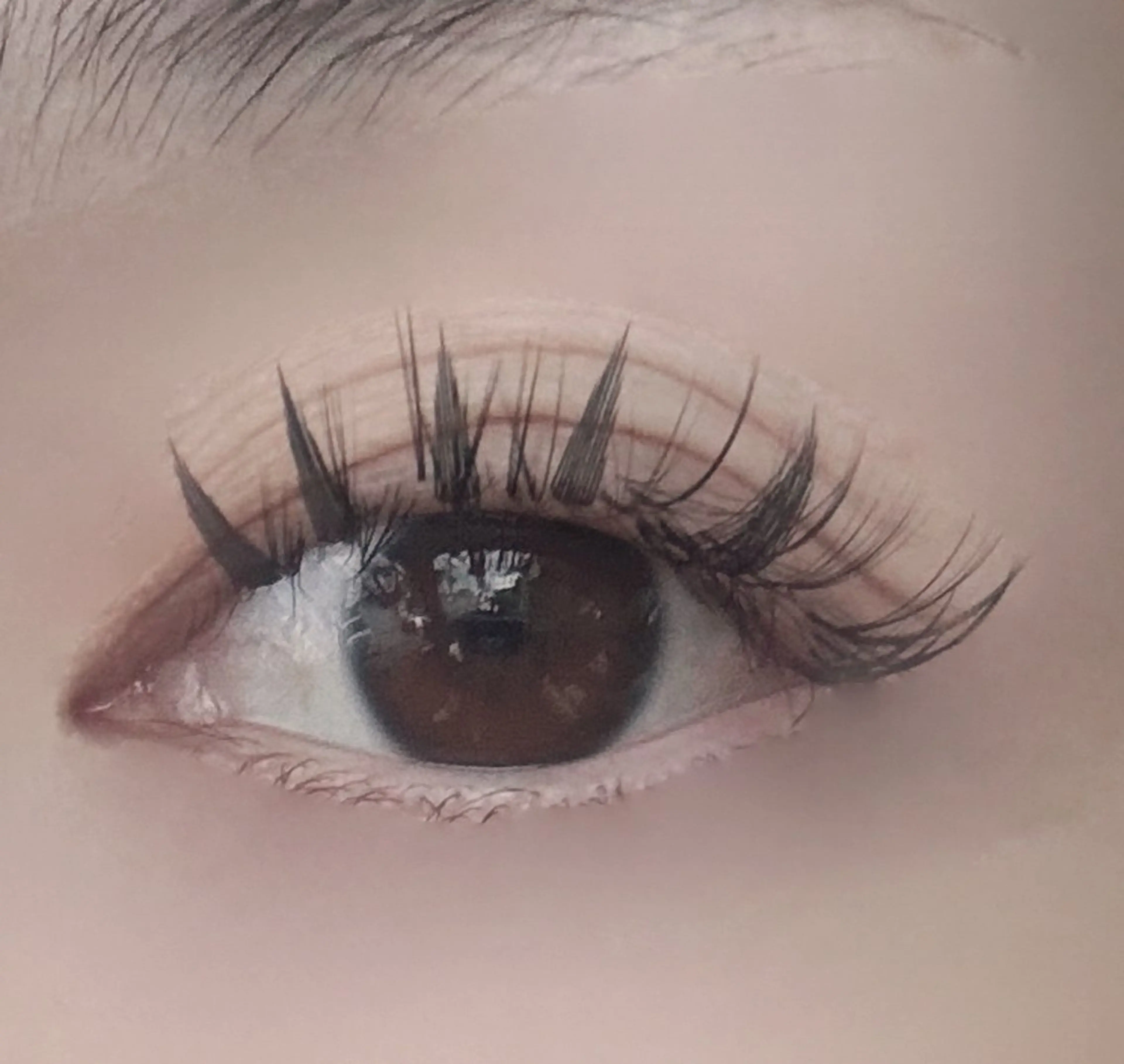 【羽マツエク+ボリュームラッシュ80束】の写真