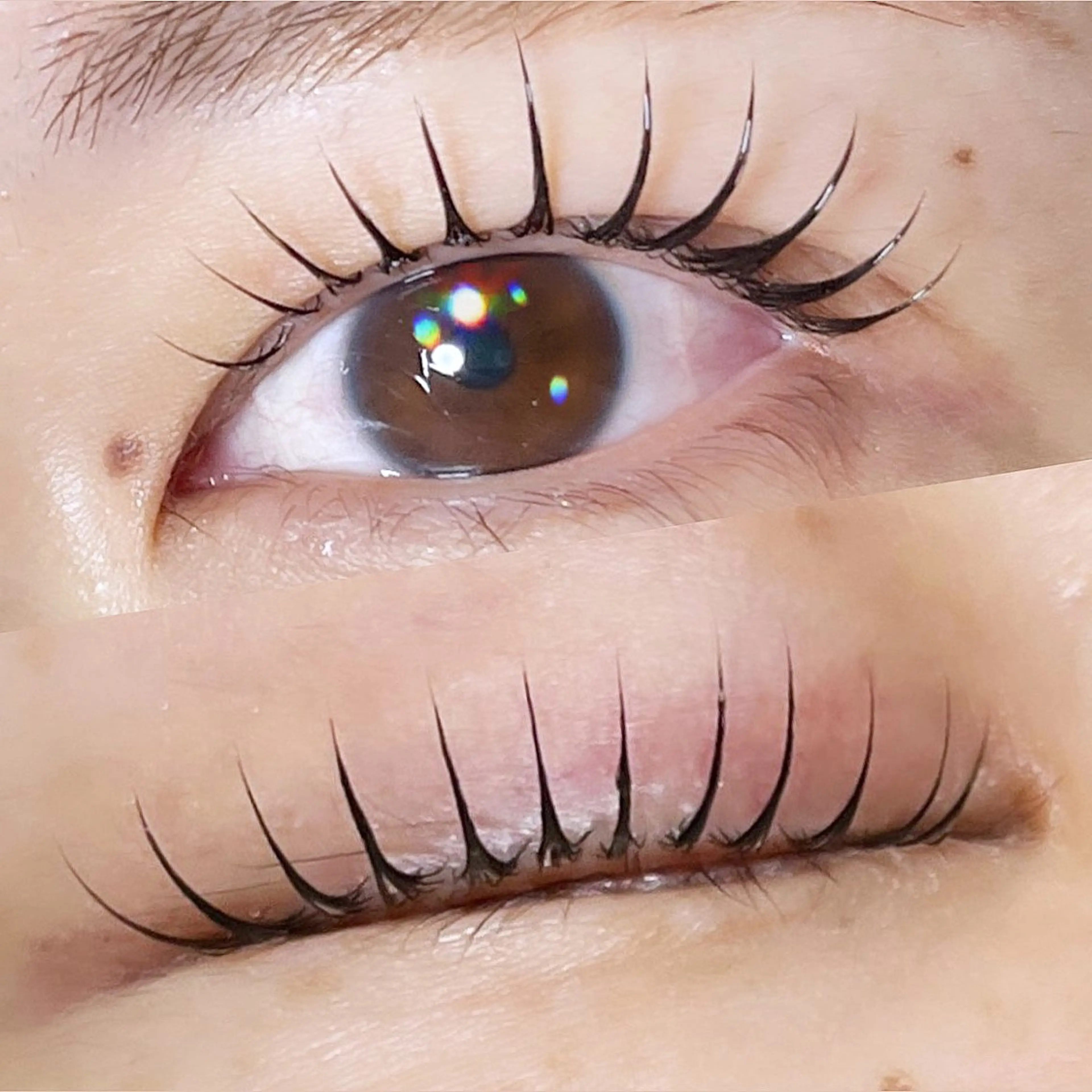 マツエク・マツパ アイラッシュサロン エルアのマツエク・マツパデザイン