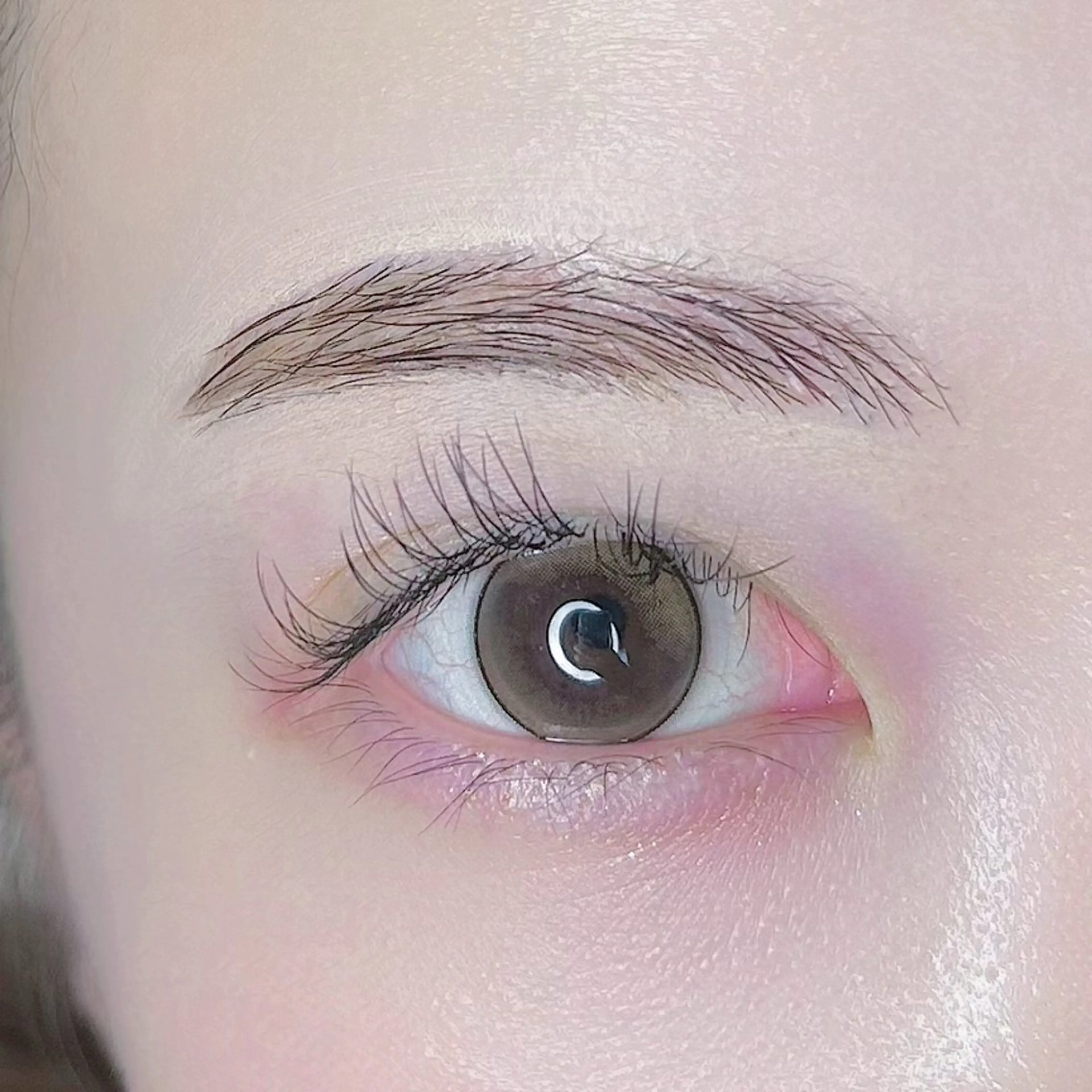 アイブロウ Blanc brow所属・BLANC 🫧maiの眉毛・アイブロウイメージ