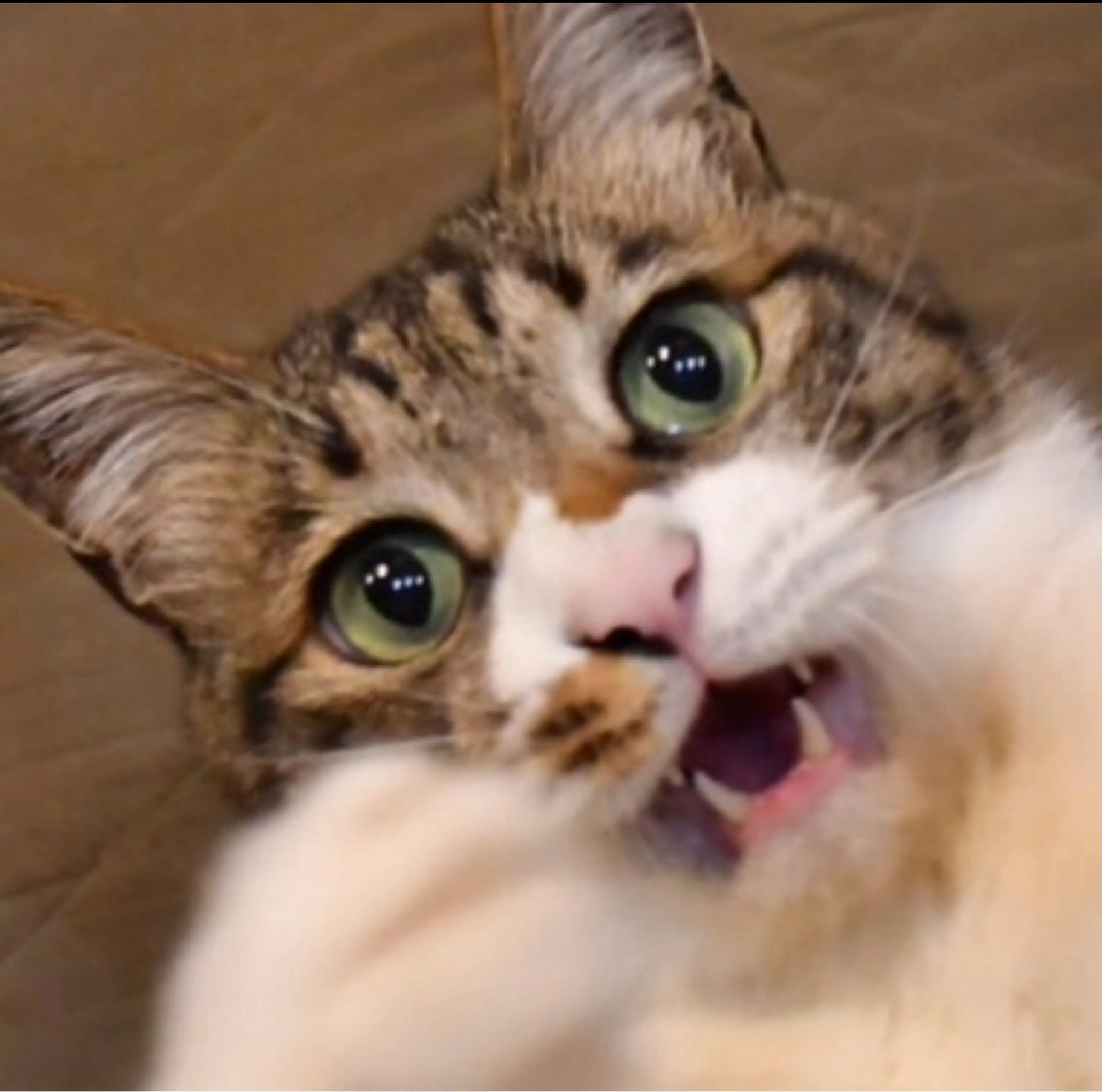 Spiky とうげ ふうかのネイルデザイン