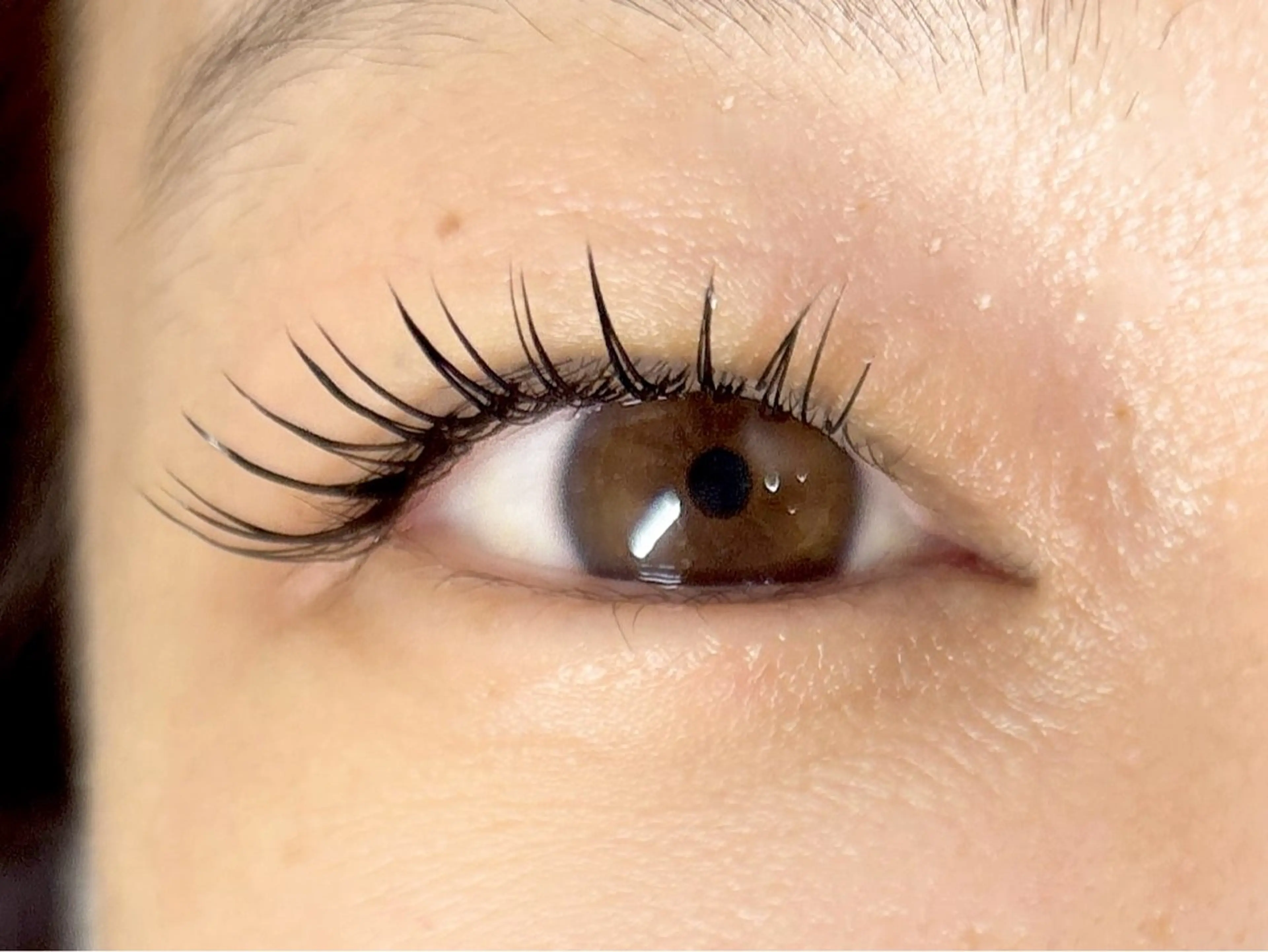 マツエク・マツパ Cカール フラットラッシュ マツエク 中村彩香 (エフドゥ)のマツエク・マツパデザイン