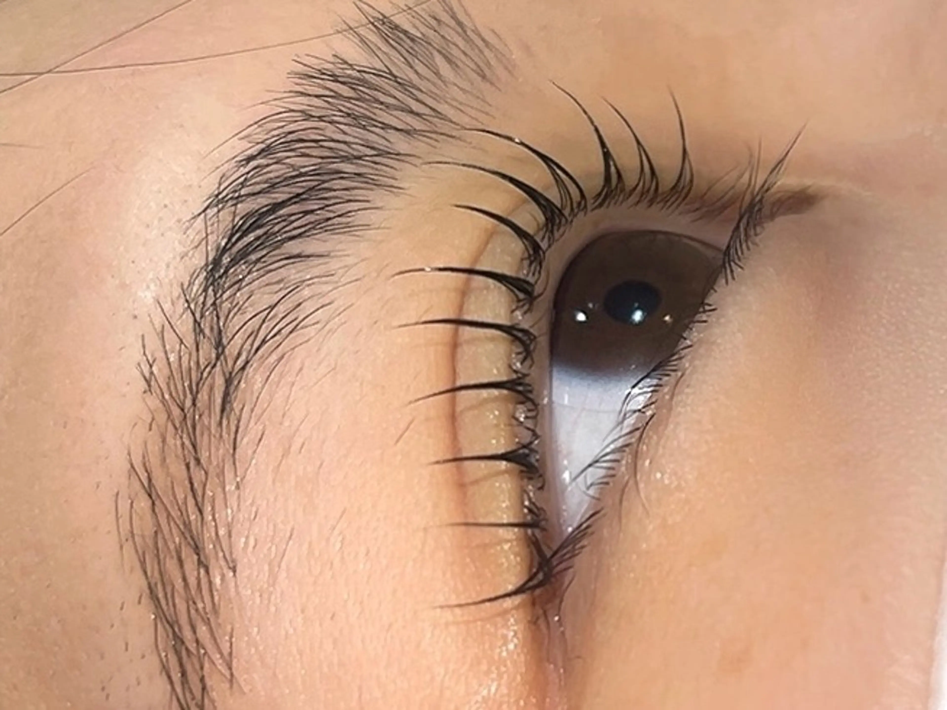 マツエク・マツパ EYE LABO所属・EYE LABO ayakaのマツエク・マツパデザイン