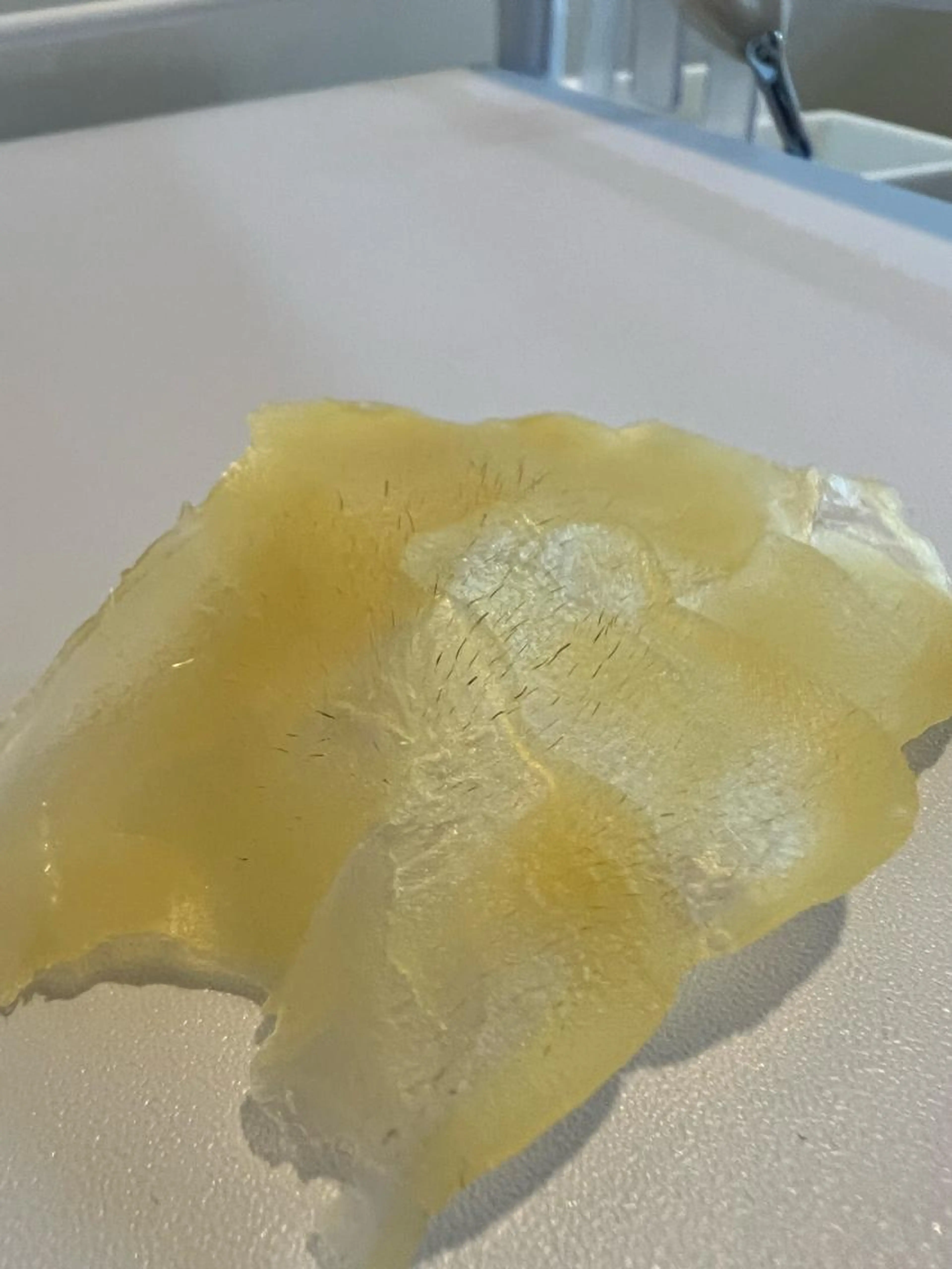 【お試しメニュー】マツヤニパッチテストの写真