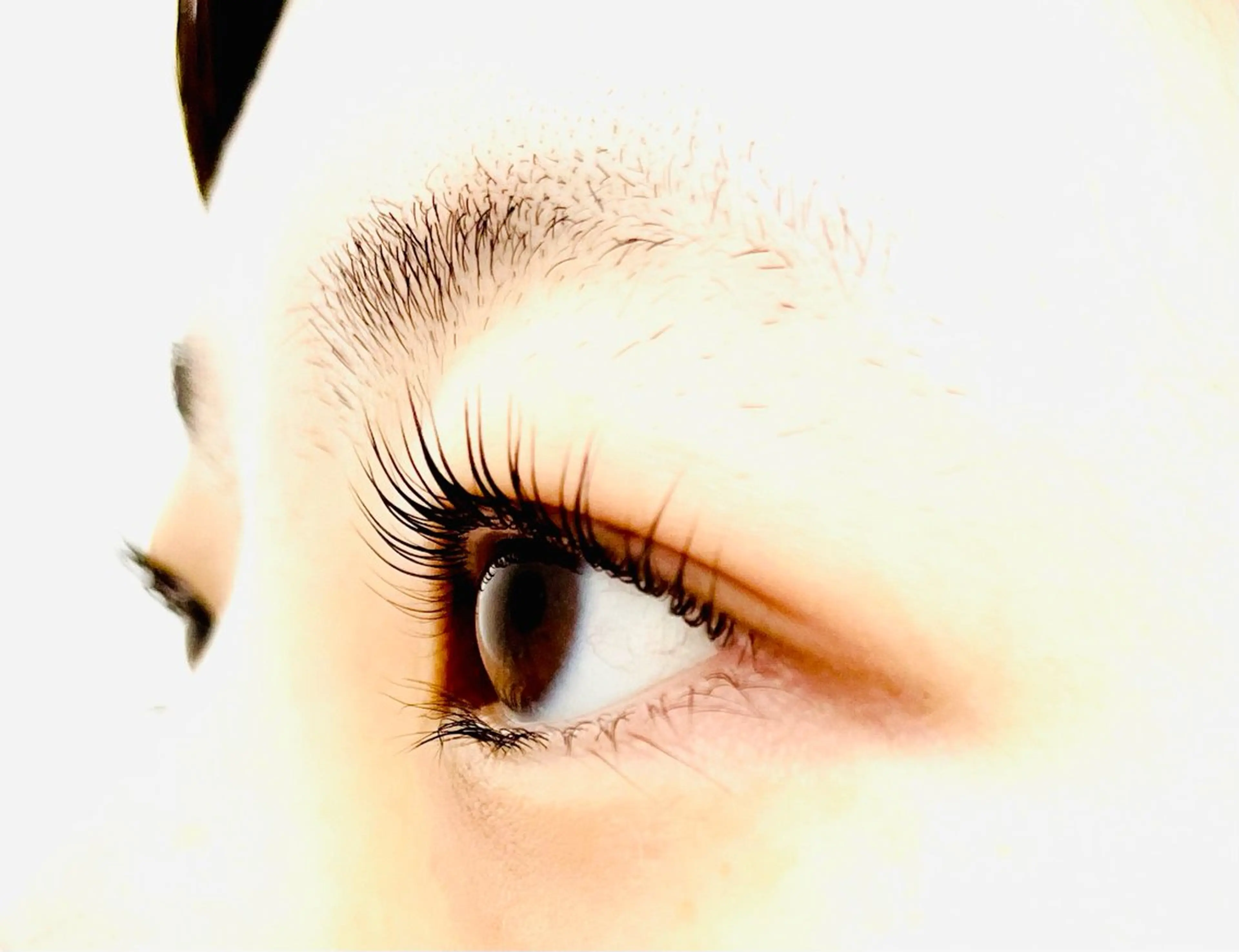 マツエク・マツパ パリジェンヌラッシュリフト GLUCK所属・GLUCK 彩子のマツエク・マツパデザイン