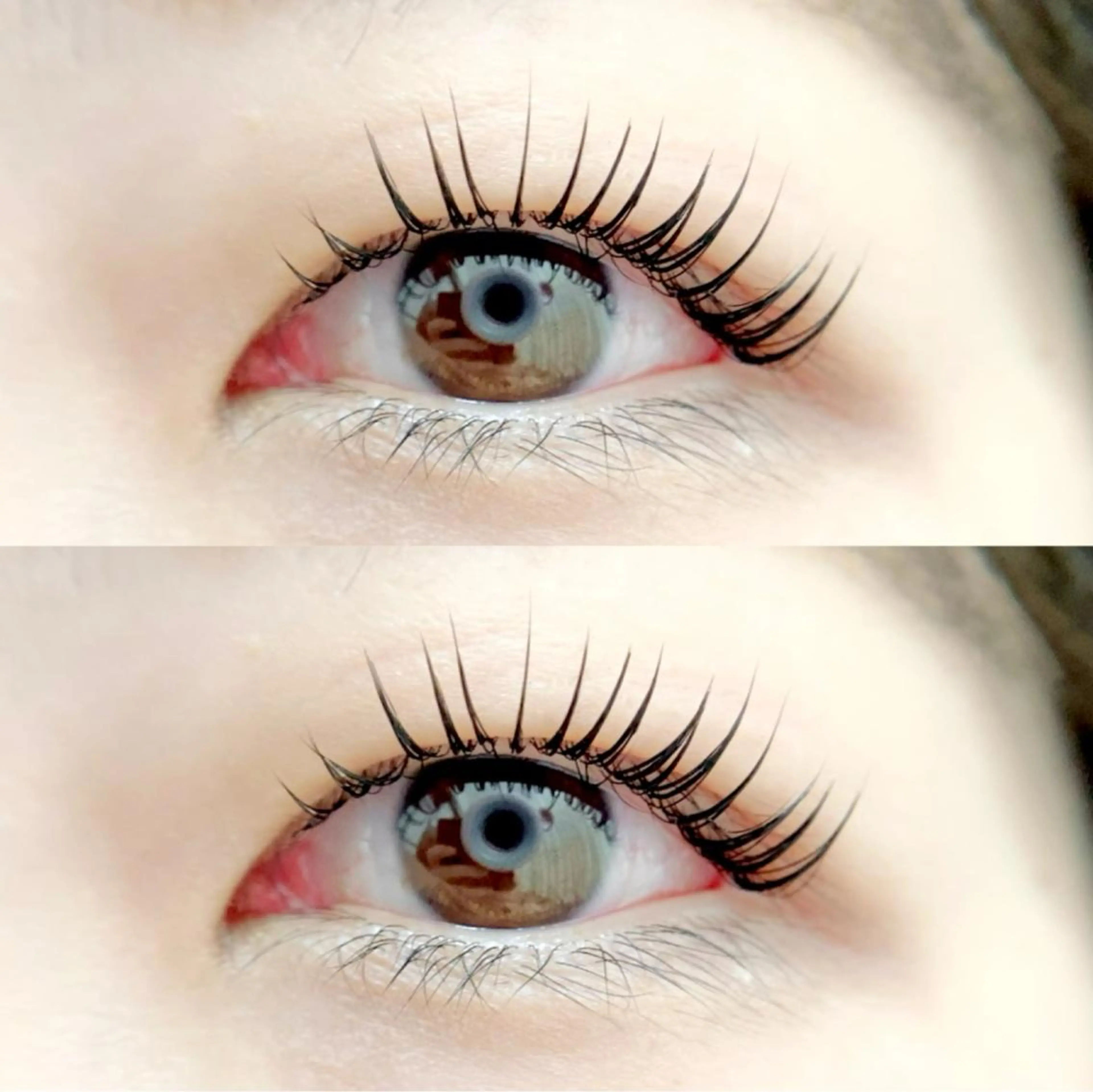 マツエク・マツパ マツパ Rabbit hagaのマツエク・マツパデザイン