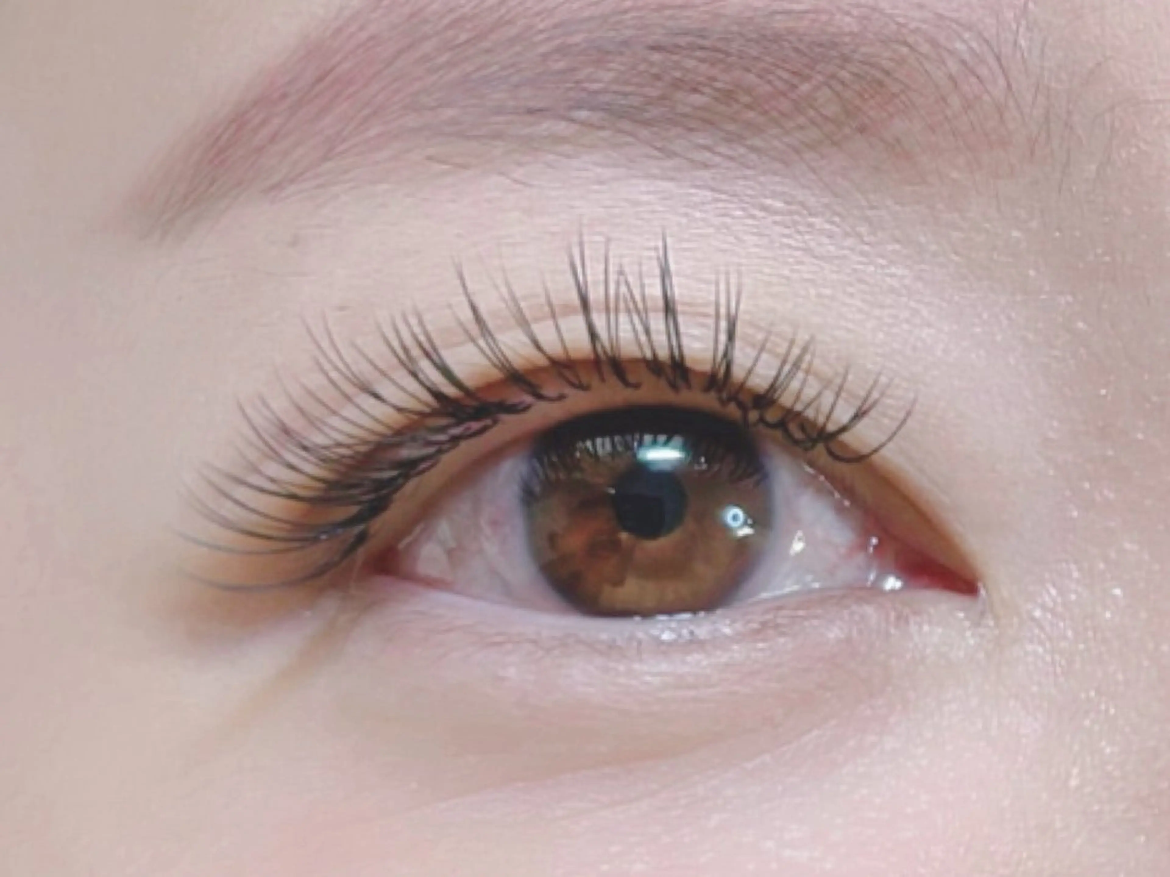 マツエク・マツパ 付け放題 バインドロック 束感まつ毛 フラットラッシュ パリジェンヌラッシュリフト マツエク オーロラ所属・AURORA RINAのマツエク・マツパデザイン