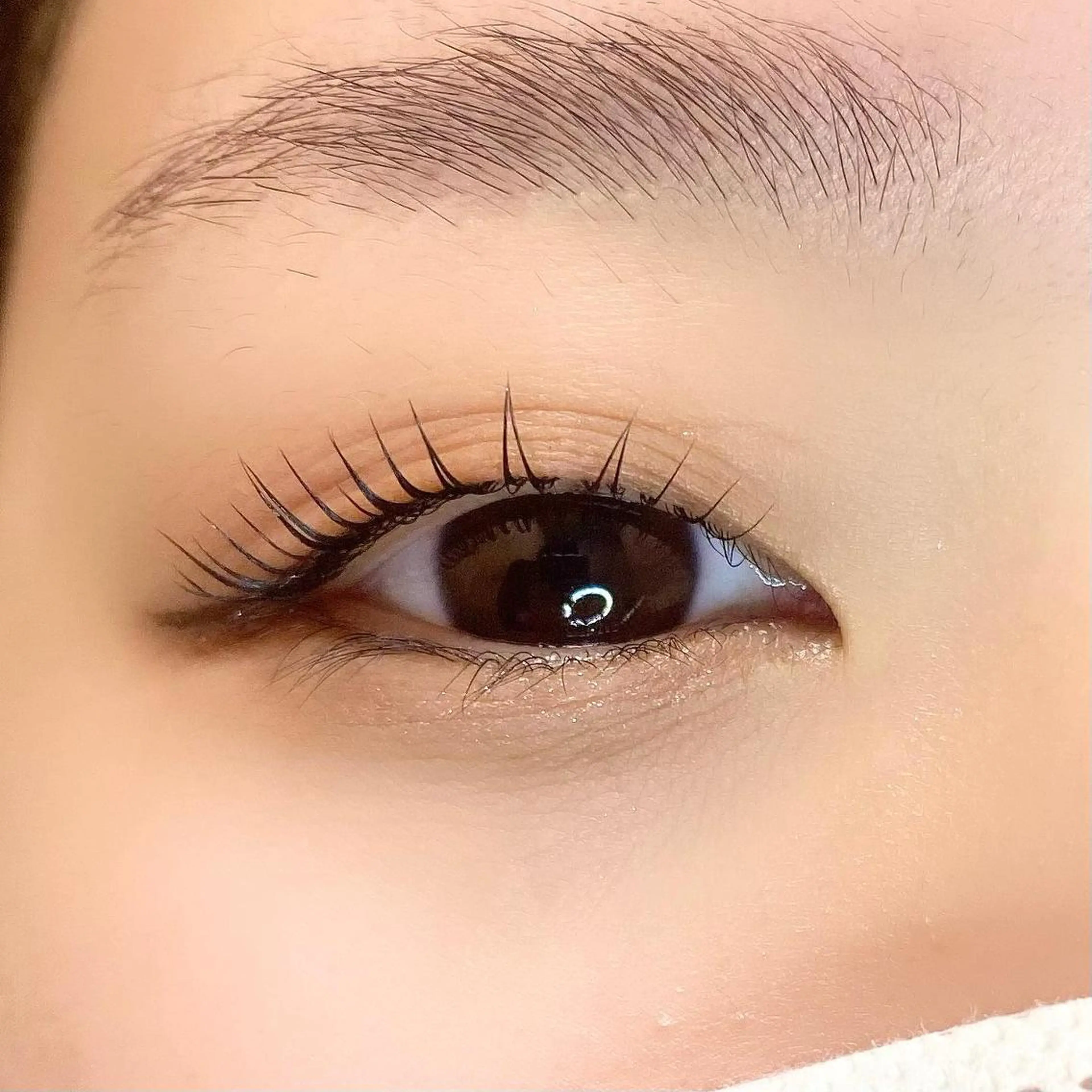 マツエク・マツパ パリジェンヌラッシュリフト まつげパーマ KURUMI🦋 まつエクまつパ美眉のマツエク・マツパデザイン