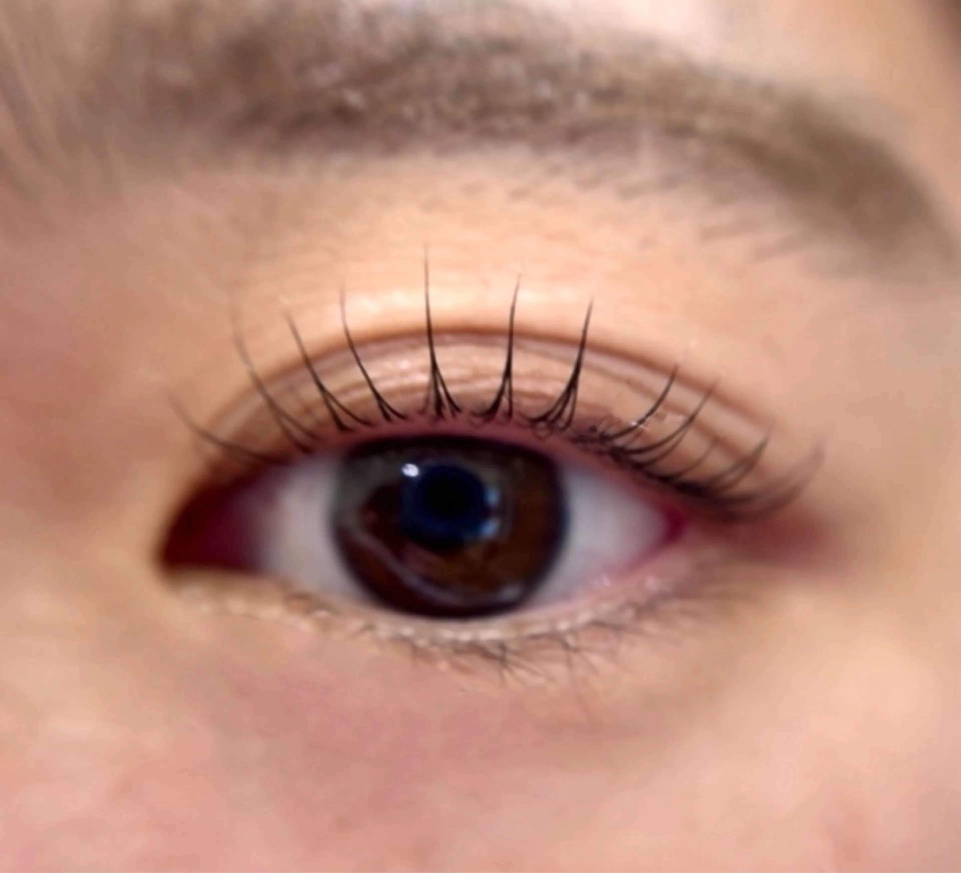 マツエク・マツパ arce -ｱﾙｾ- 🔅ヒマワリのマツエク・マツパデザイン