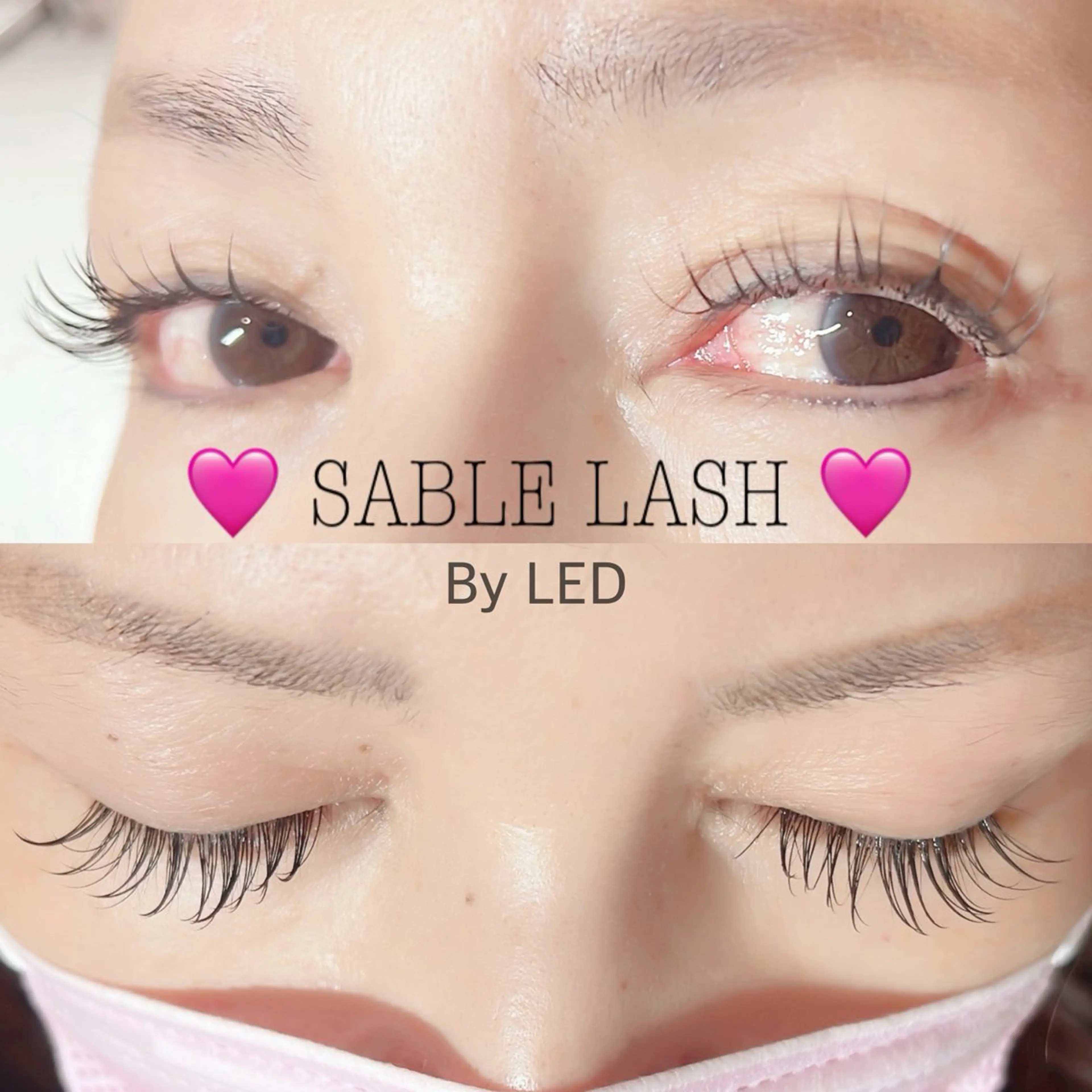 ãããšã¯ã»ããã ãããšã¯ PutiLuca äœã
æšã®ãããšã¯ã»ããããã¶ã€ã³