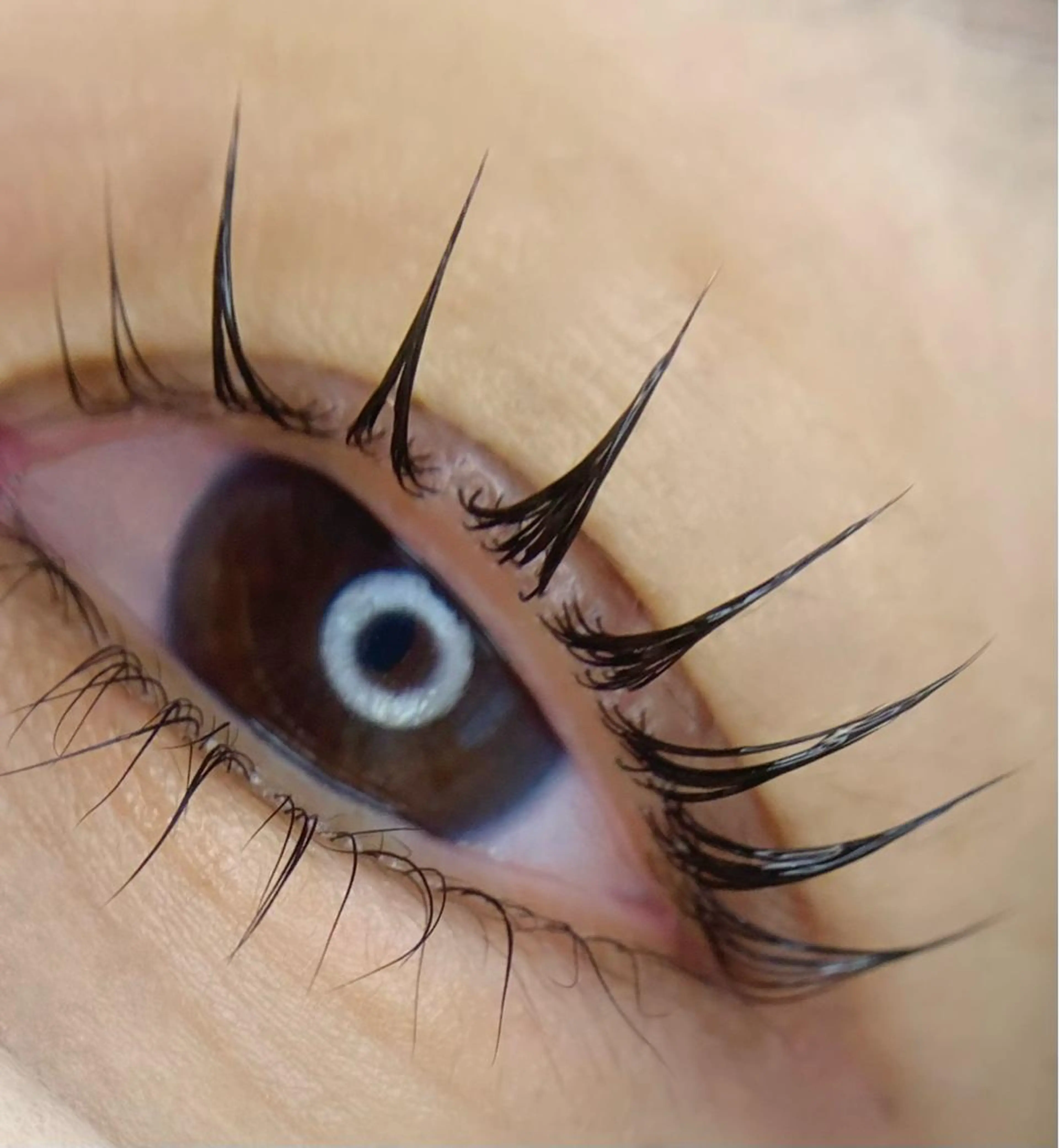 マツエク・マツパ パリジェンヌラッシュリフト kaori eyelashのマツエク・マツパデザイン