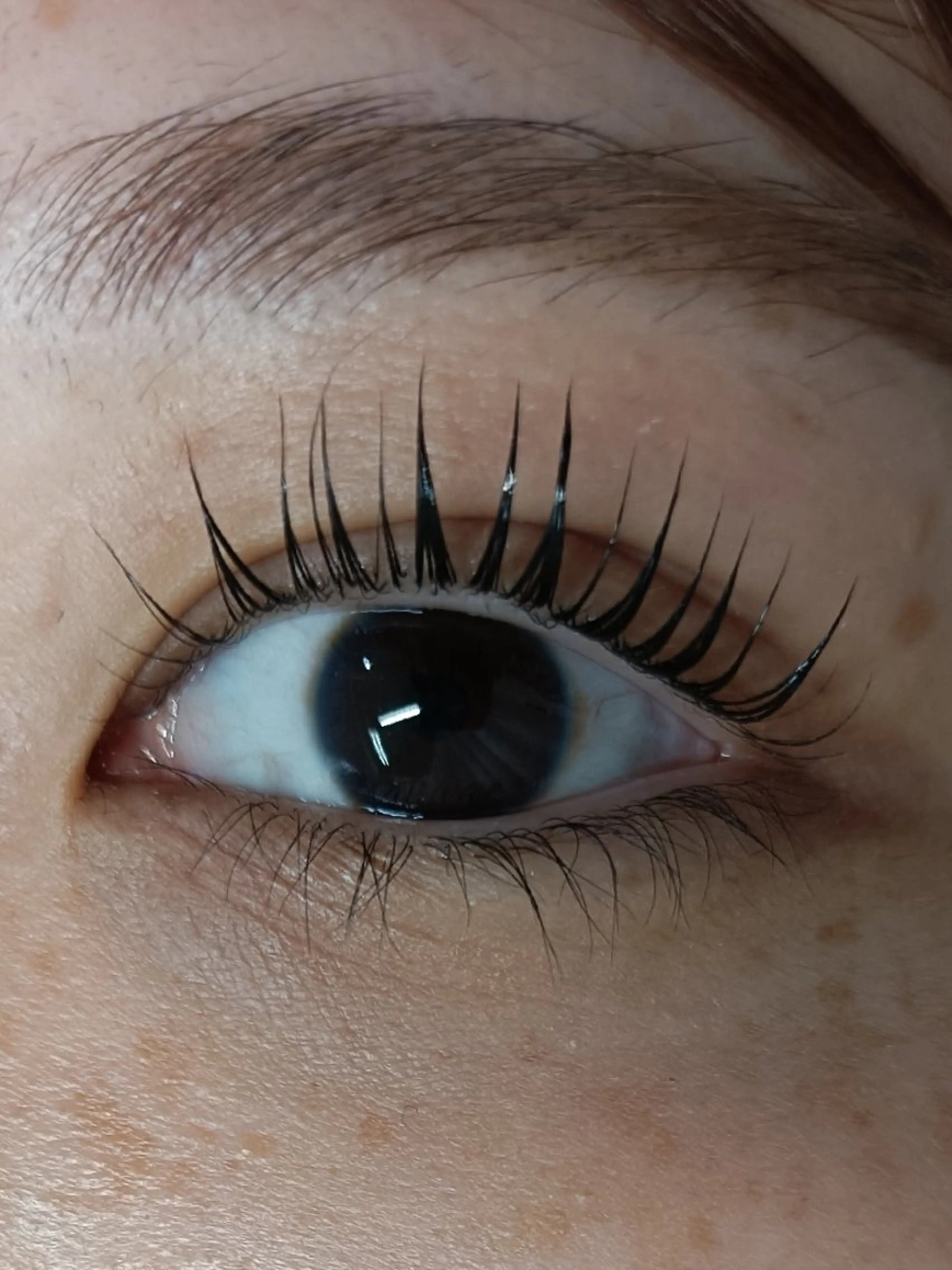 マツエク・マツパ 🫧🐰渋谷. INOUE🐰🫧の眉毛・アイブロウイメージ