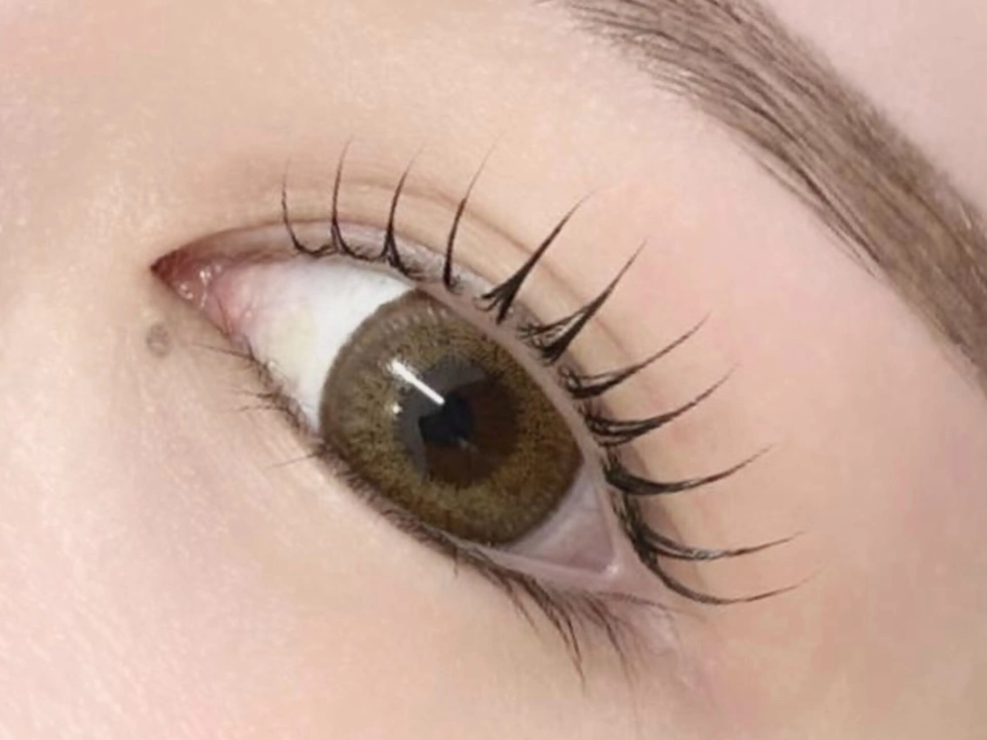 マツエク・マツパ マツパ ルクール 川崎店のマツエク・マツパデザイン