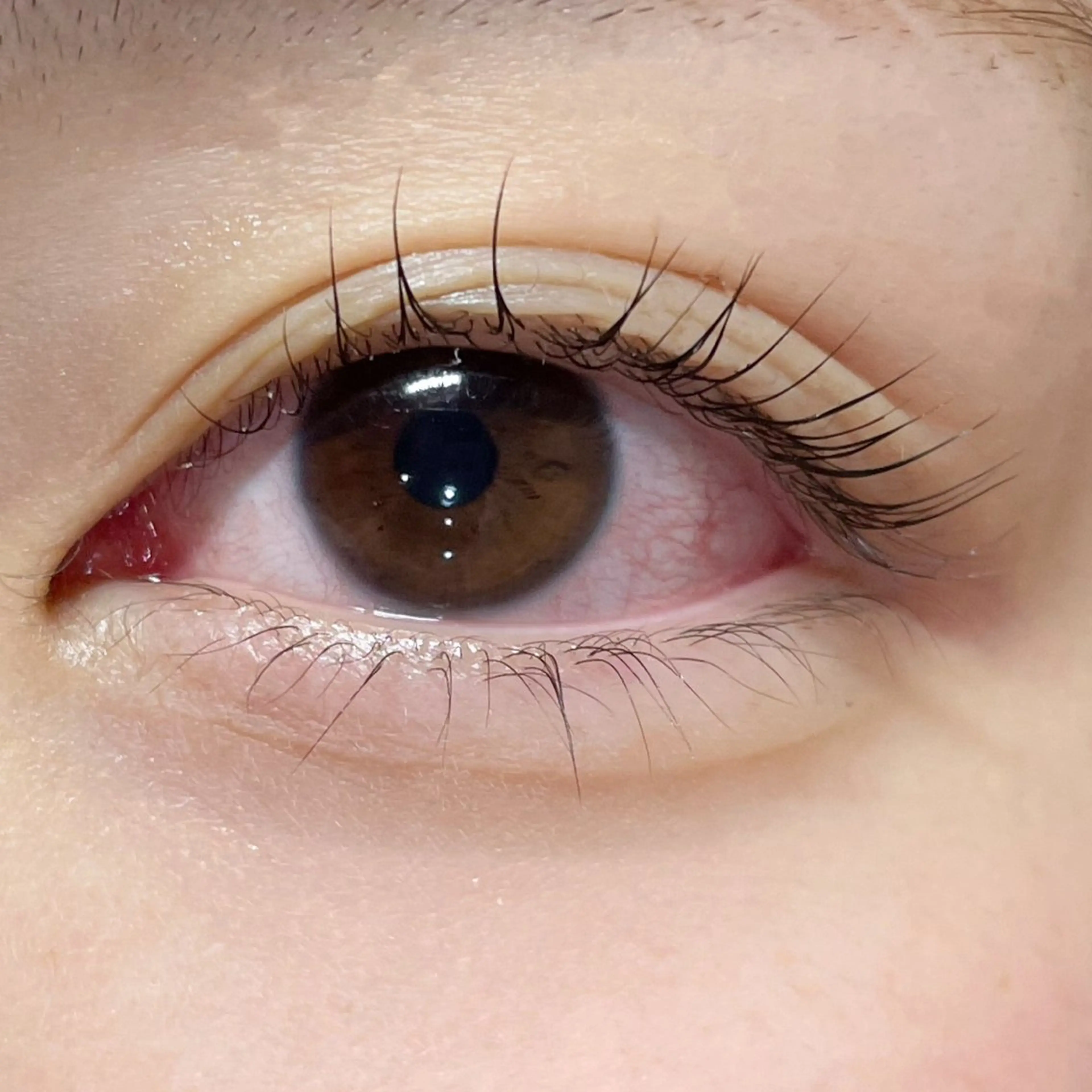 マツエク・マツパ マツパ 櫻井 怜華のマツエク・マツパデザイン