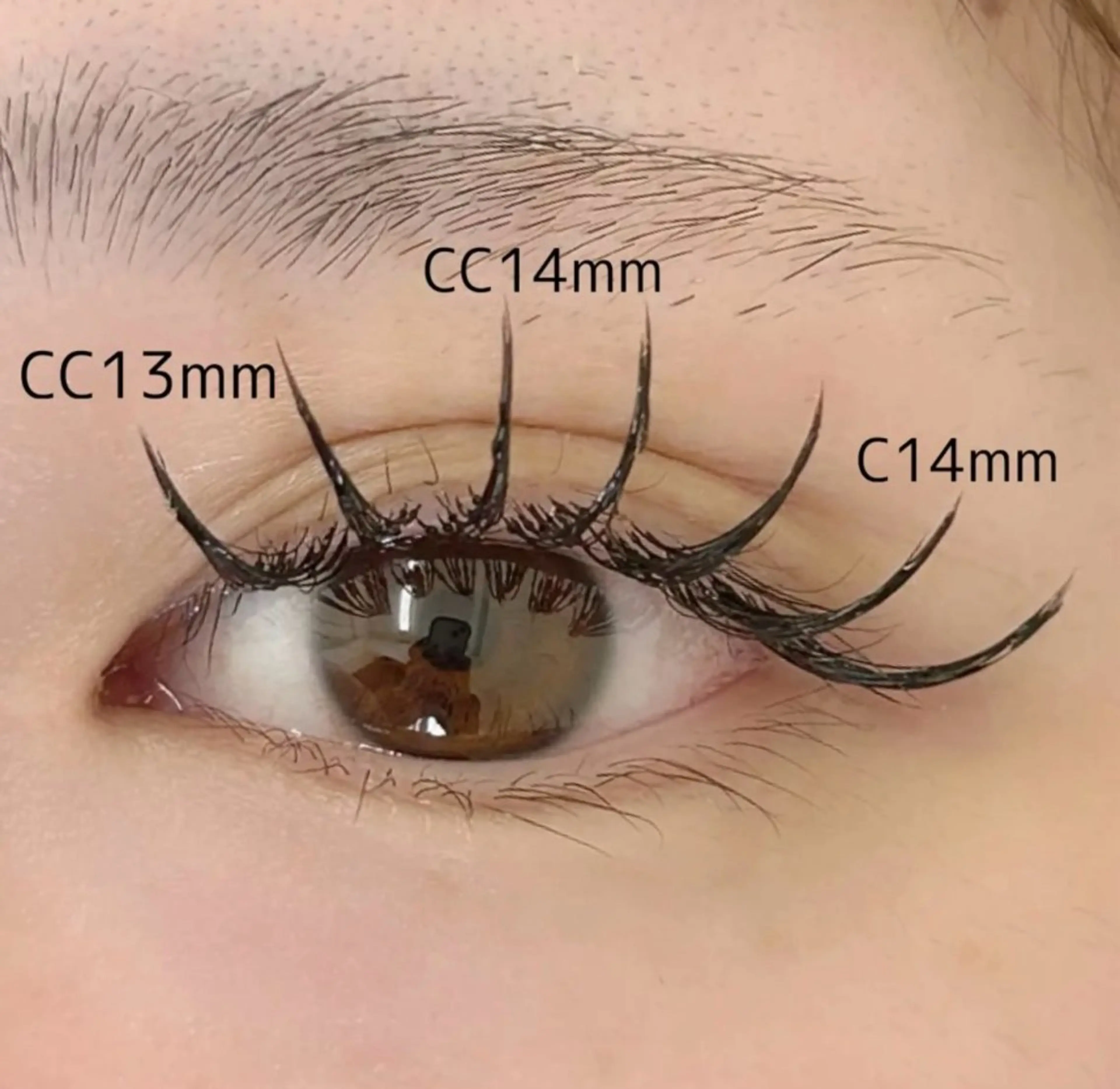 LED🍒フラットラッシュ🤍100本の写真