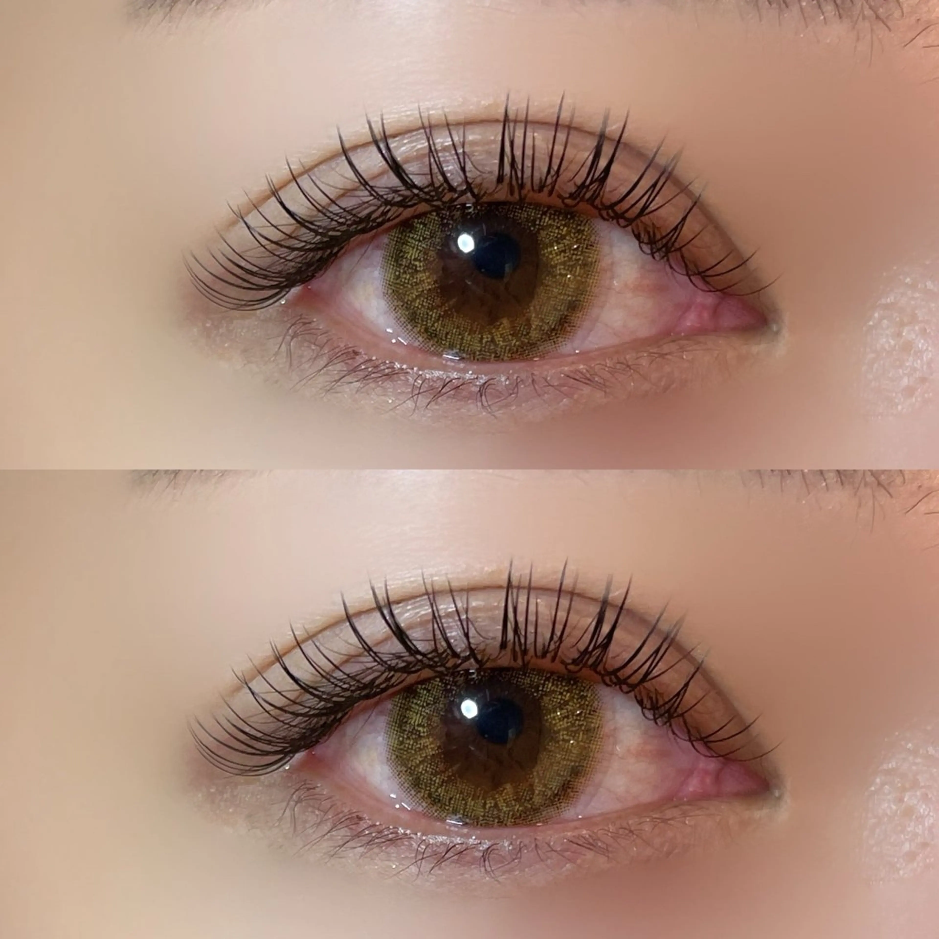 まつ毛エクステ【フラットラッシュ】120本の写真