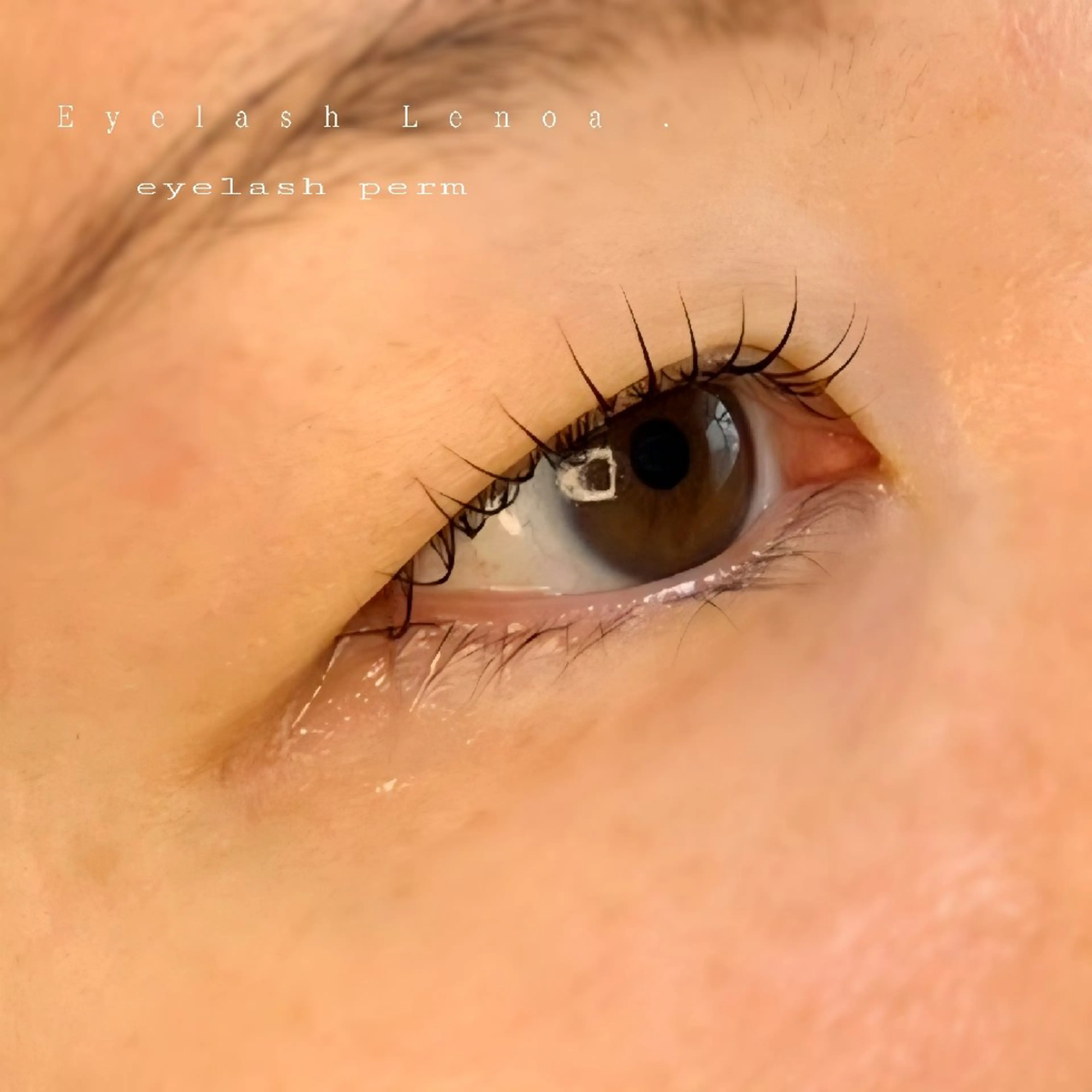 マツエク・マツパ eyelash Lenoaのマツエク・マツパデザイン