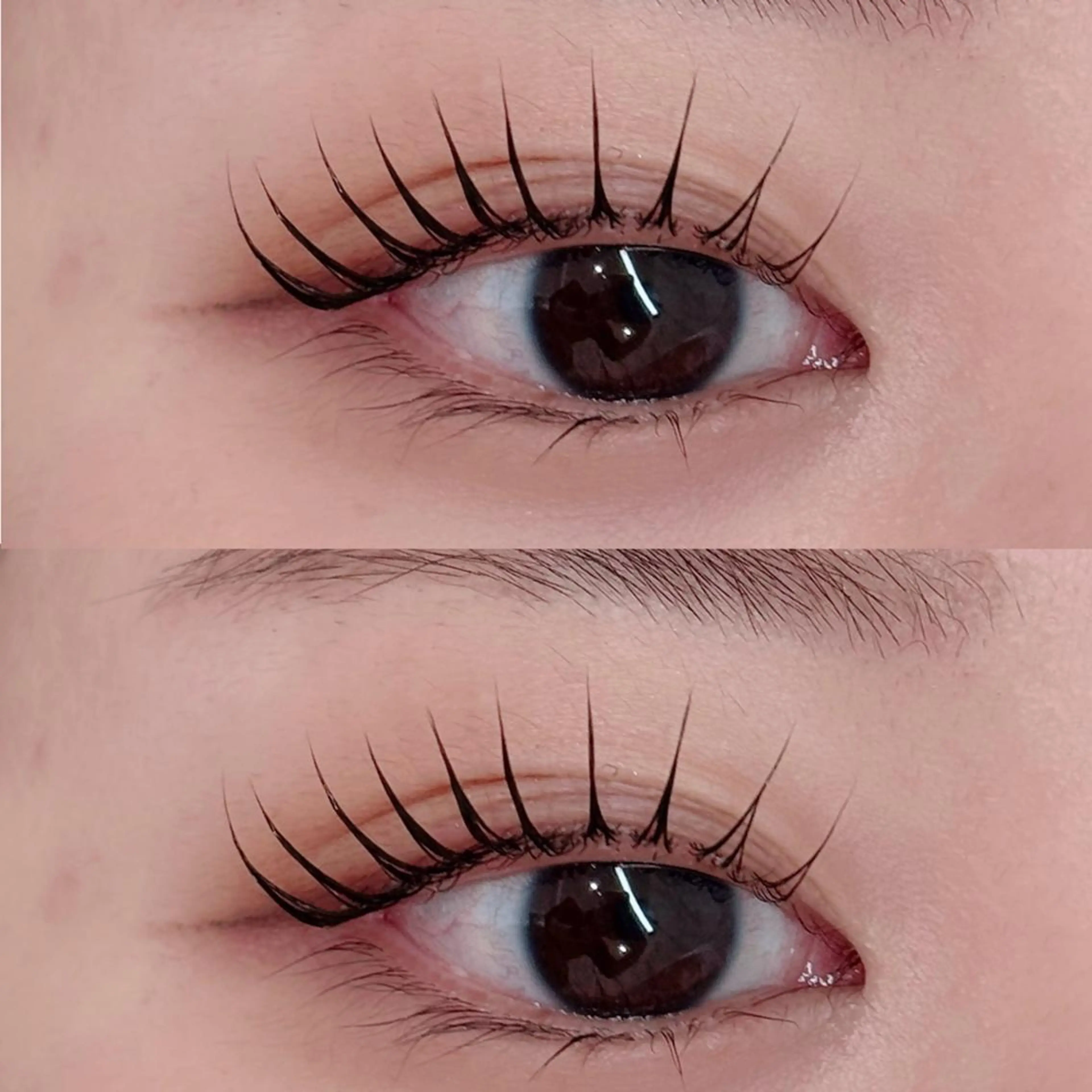 マツエク・マツパ パリジェンヌラッシュリフト マツパ BUNNYEYES MOEKAのマツエク・マツパデザイン