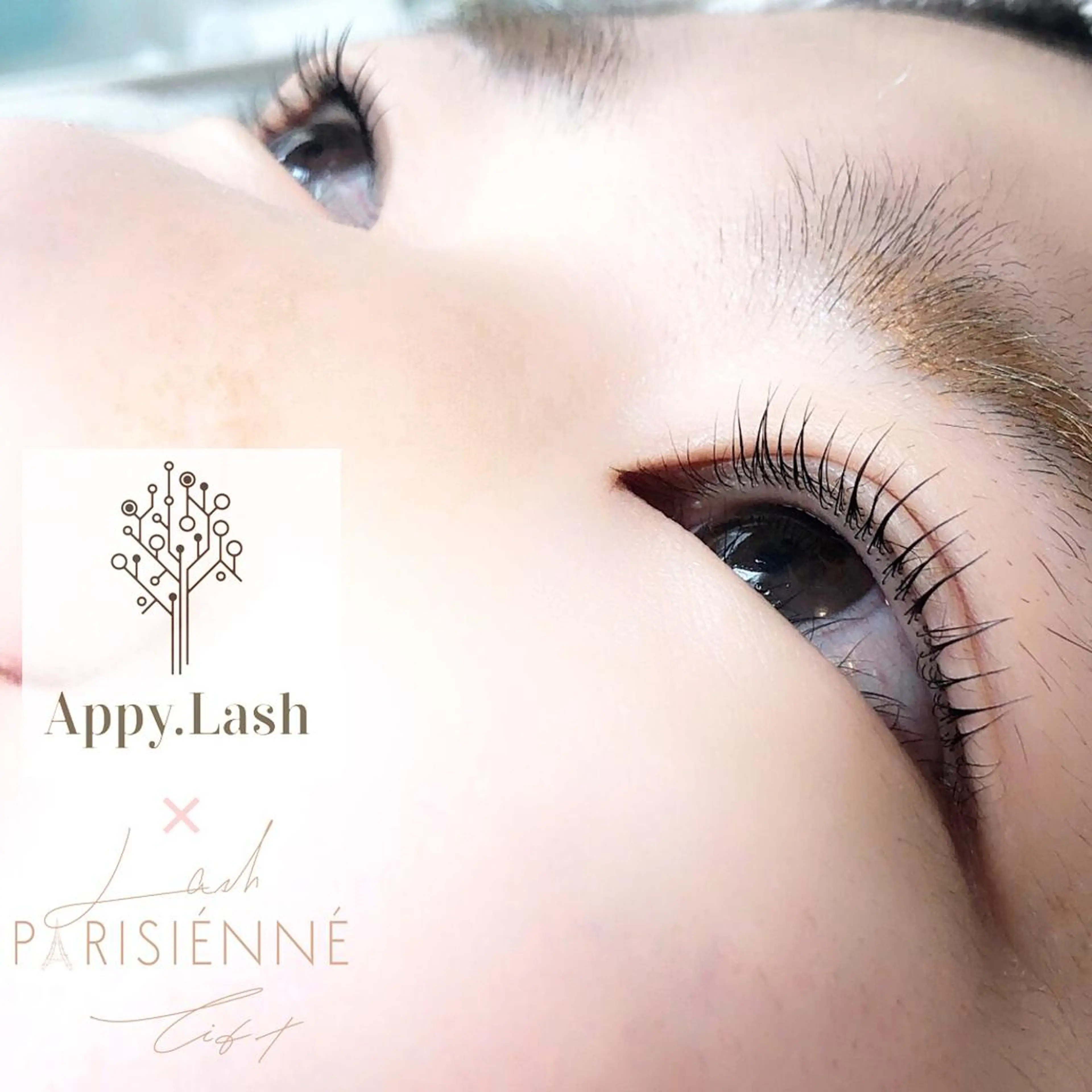 マツエク・マツパ まつげと眉の専門店 Appy.Lashのマツエク・マツパデザイン