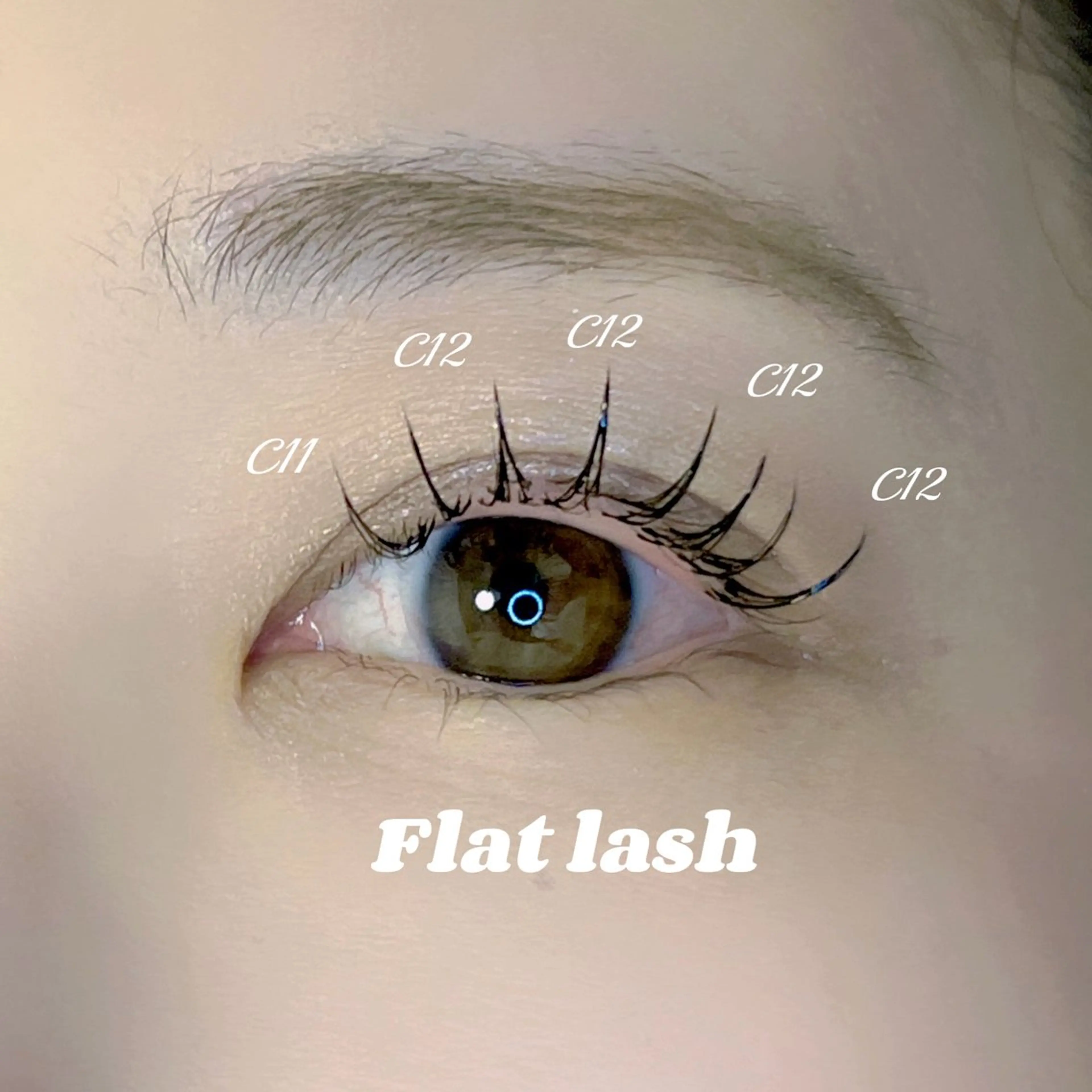 【ミニモ限定価格💖】フラットラッシュ​〜​120本🎀（オフあり）束間コーティング付の写真