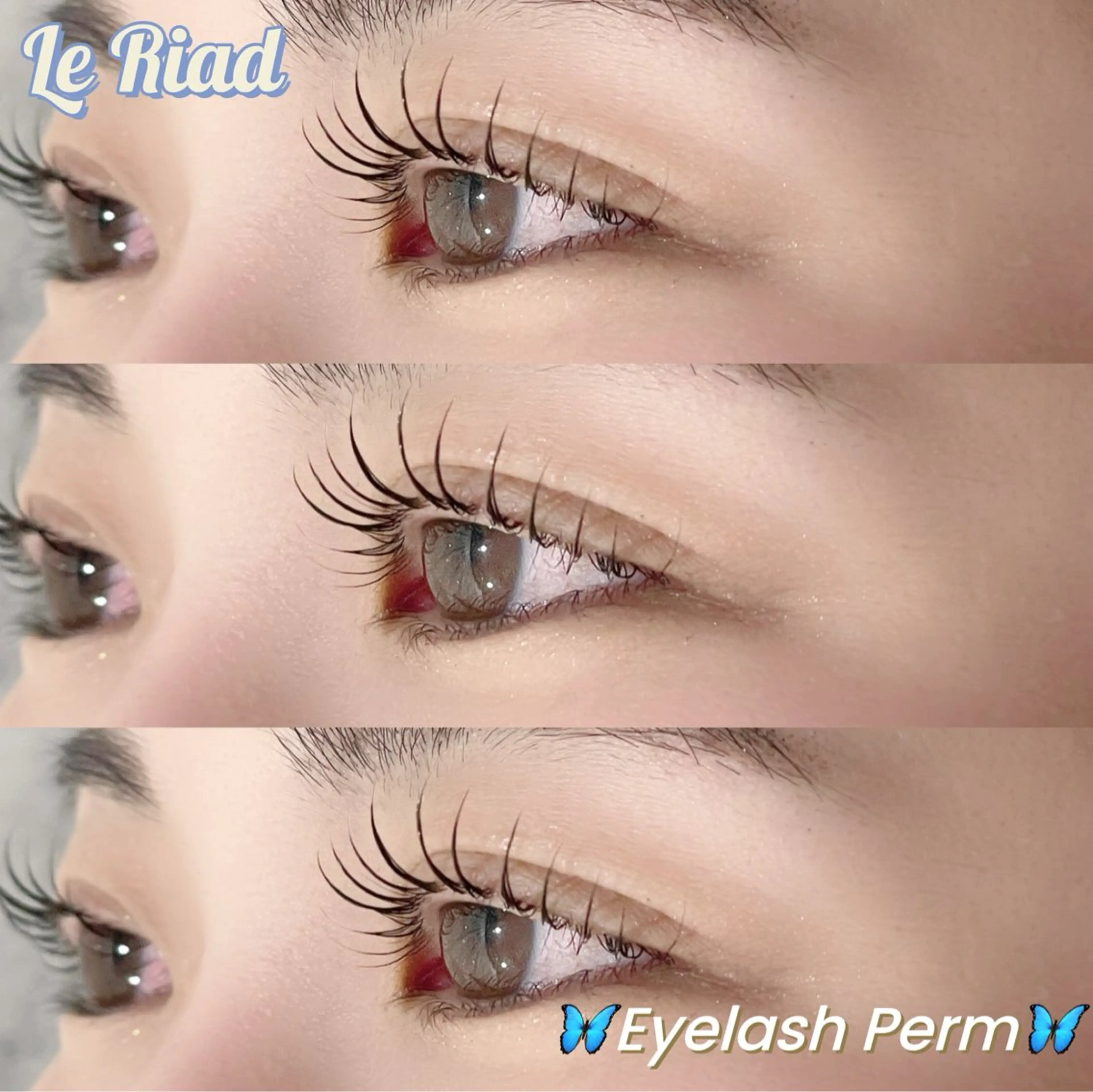 マツエク・マツパ Le Riad 栄 🦋坪内のマツエク・マツパデザイン