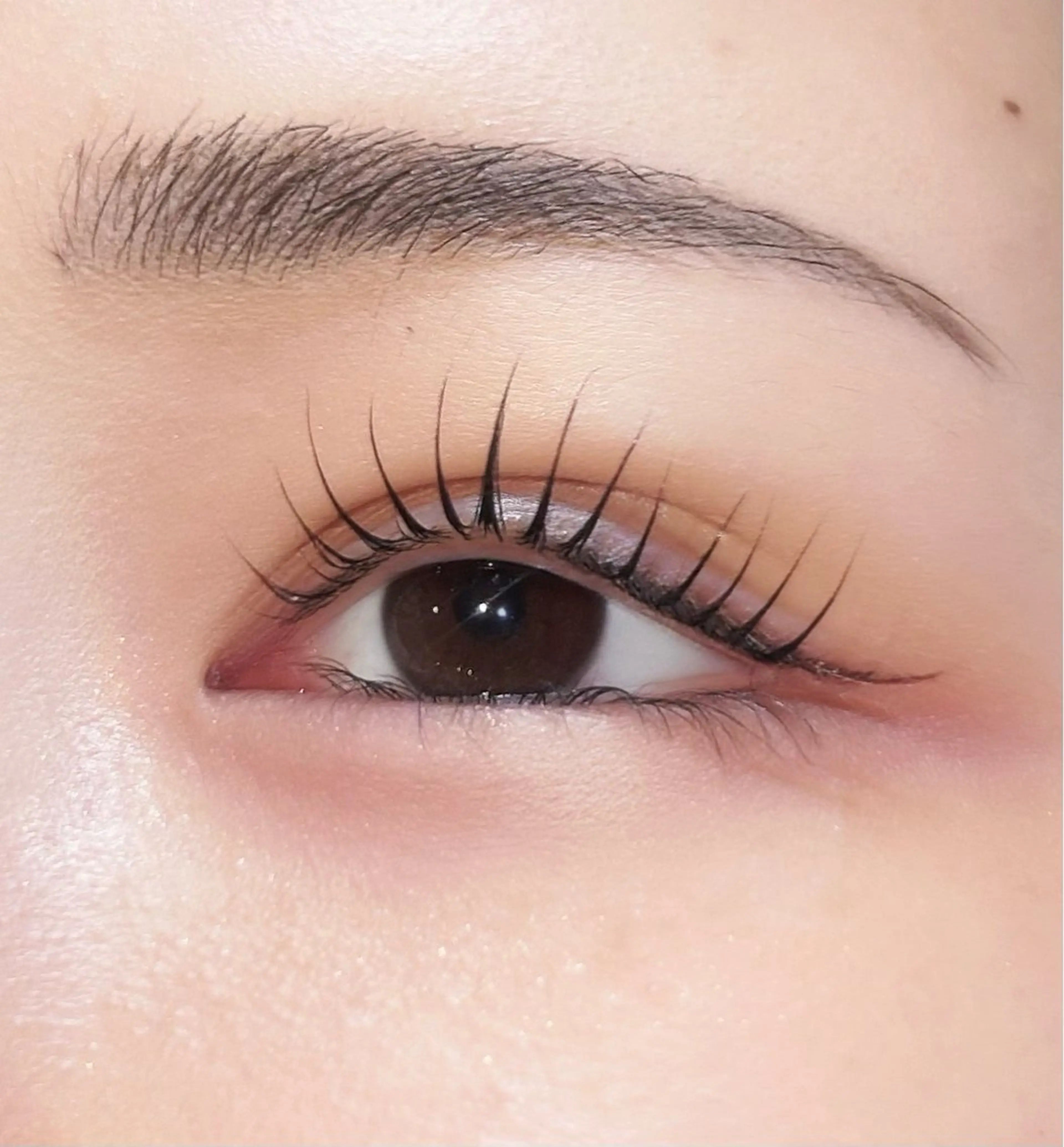 マツエク・マツパ 束感まつ毛 韓国風マツエク RocoLush🍯 HINATA౨ৎ⋆ෆのマツエク・マツパデザイン