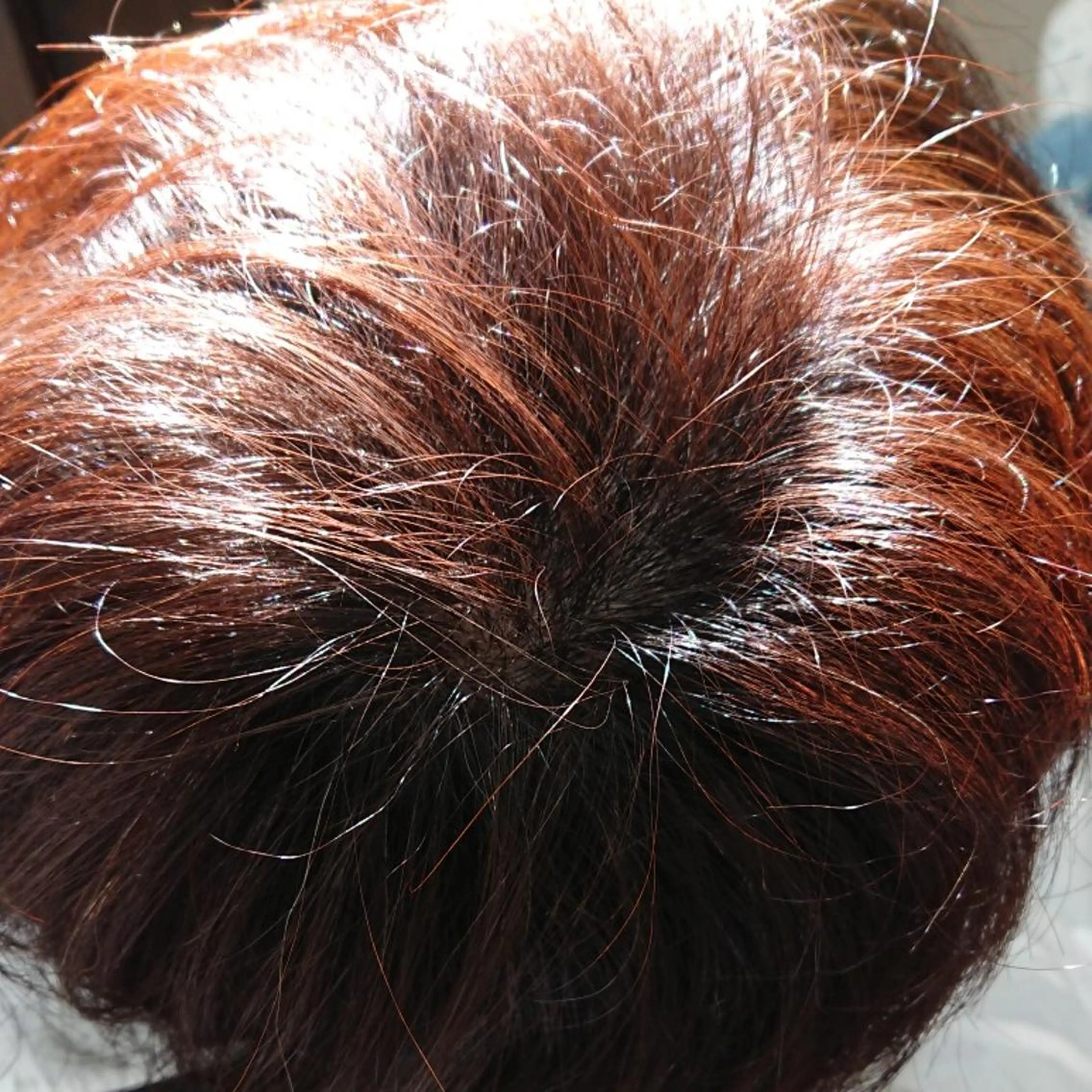 井之上 桂のヘアスタイル